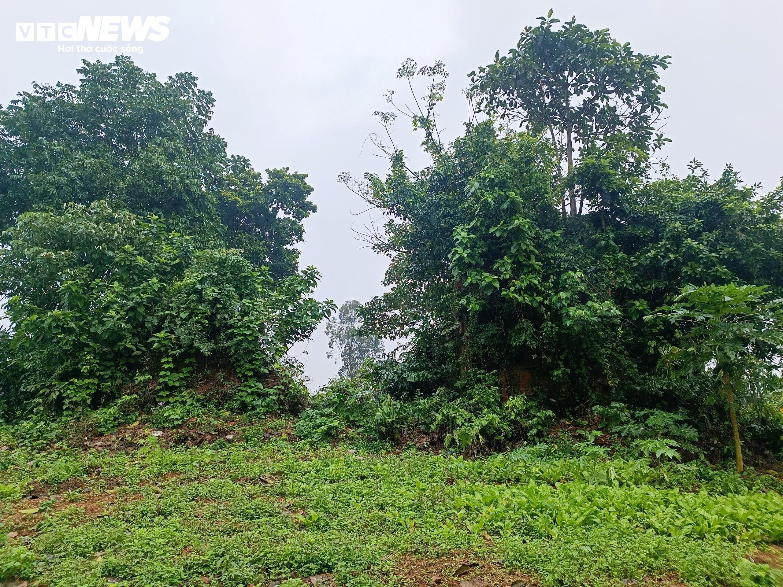 Hoang tàn những di tích Chăm Pa hiếm hoi còn sót lại trên đất cố đô Huế - 6