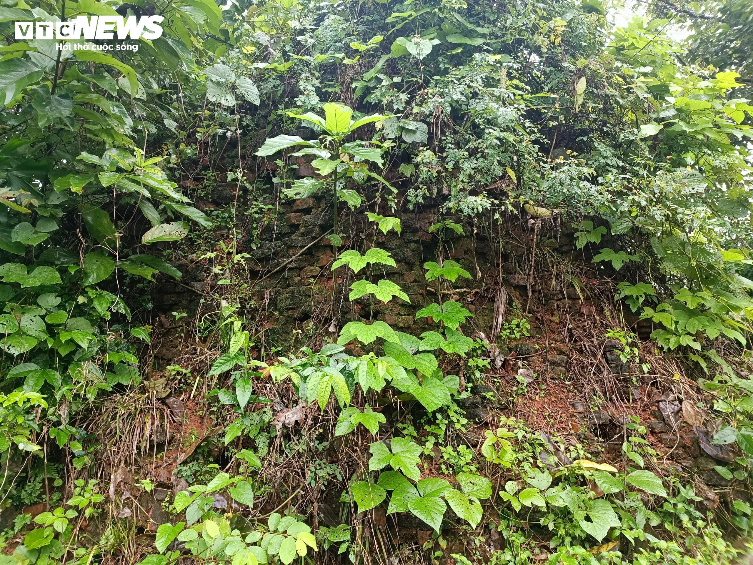 Hoang tàn những di tích Chăm Pa hiếm hoi còn sót lại trên đất cố đô Huế - 8