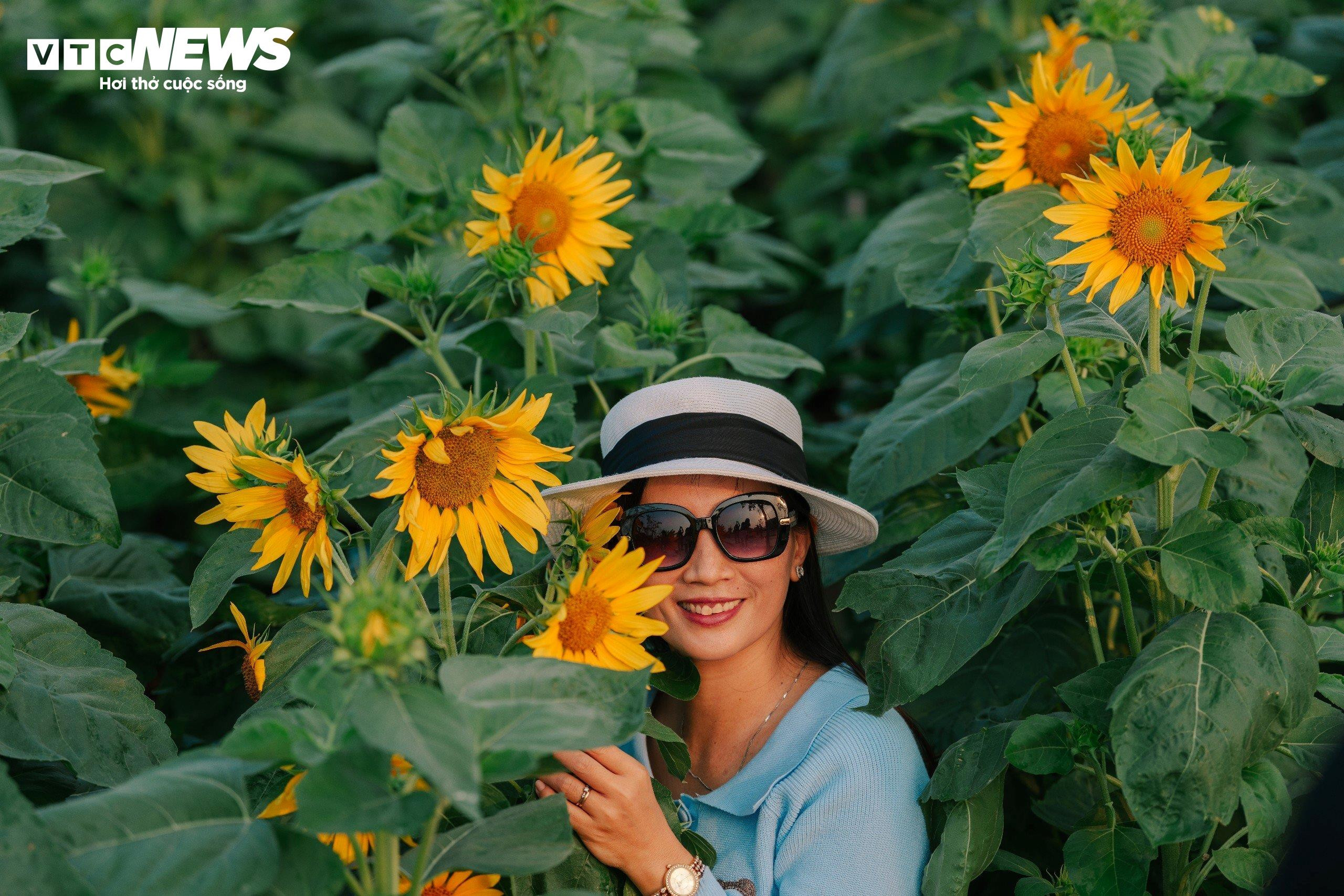 Người dân TP.HCM check-in vườn hoa hướng dương, bay khinh khí cầu ngày cuối năm - 6