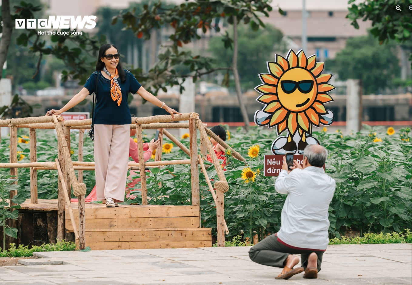 Người dân TP.HCM check-in vườn hoa hướng dương, bay khinh khí cầu ngày cuối năm - 4