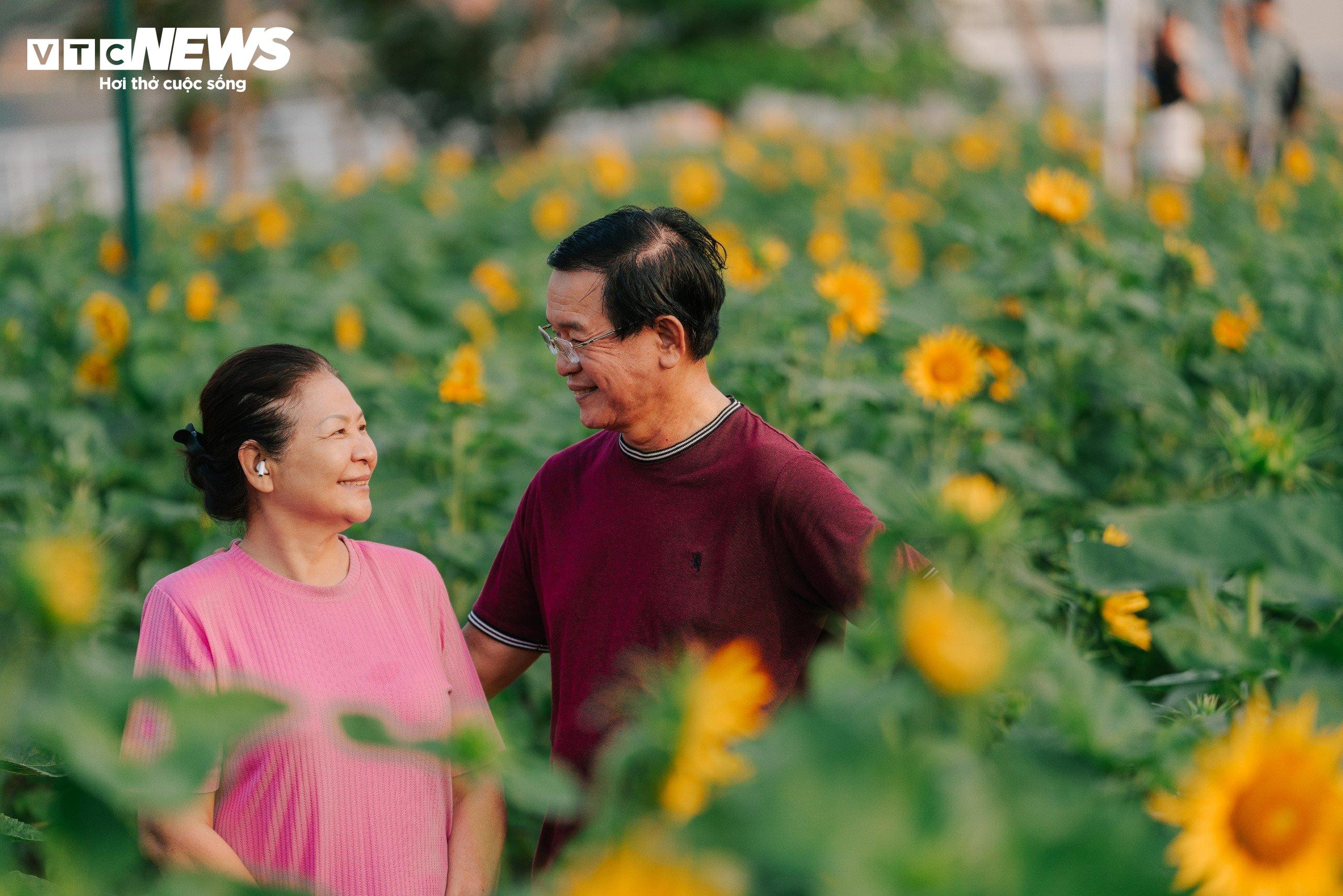 Người dân TP.HCM check-in vườn hoa hướng dương, bay khinh khí cầu ngày cuối năm - 3