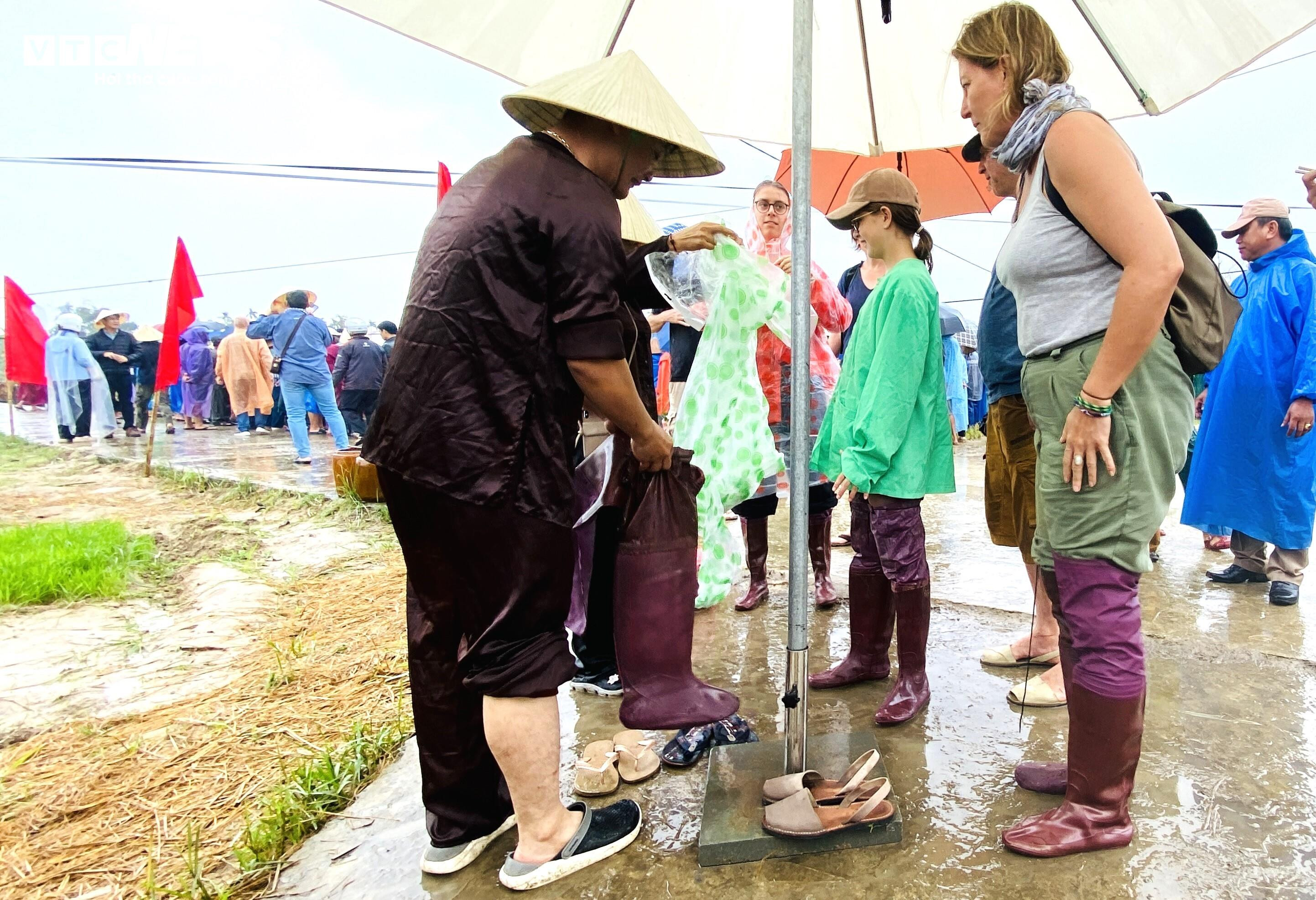 Ông Tây bà Đầm đội mưa lội bùn tát nước, cưỡi trâu cày ruộng, cấy lúa ở Hội An - 4