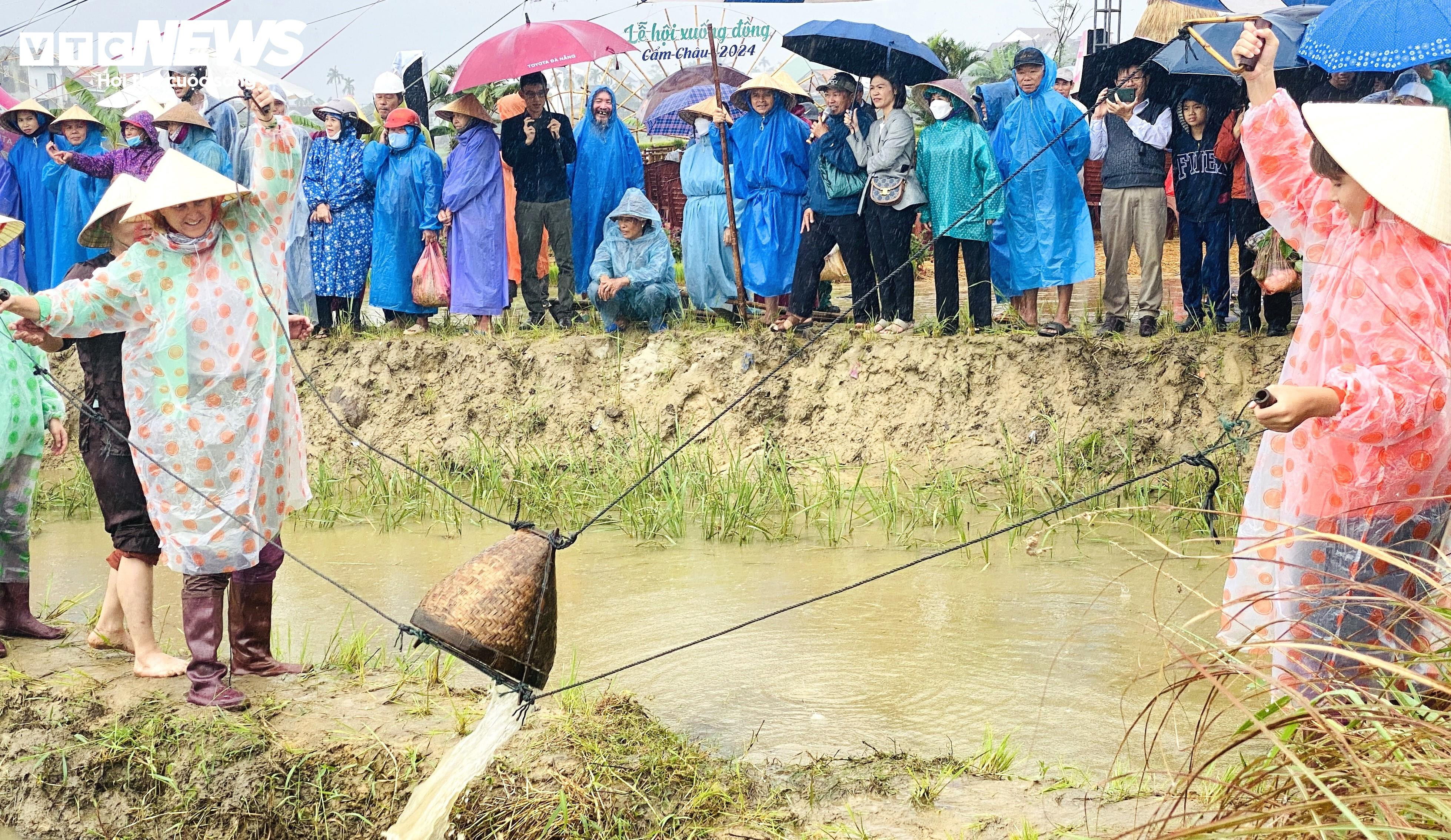 Ông Tây bà Đầm đội mưa lội bùn tát nước, cưỡi trâu cày ruộng, cấy lúa ở Hội An - 5