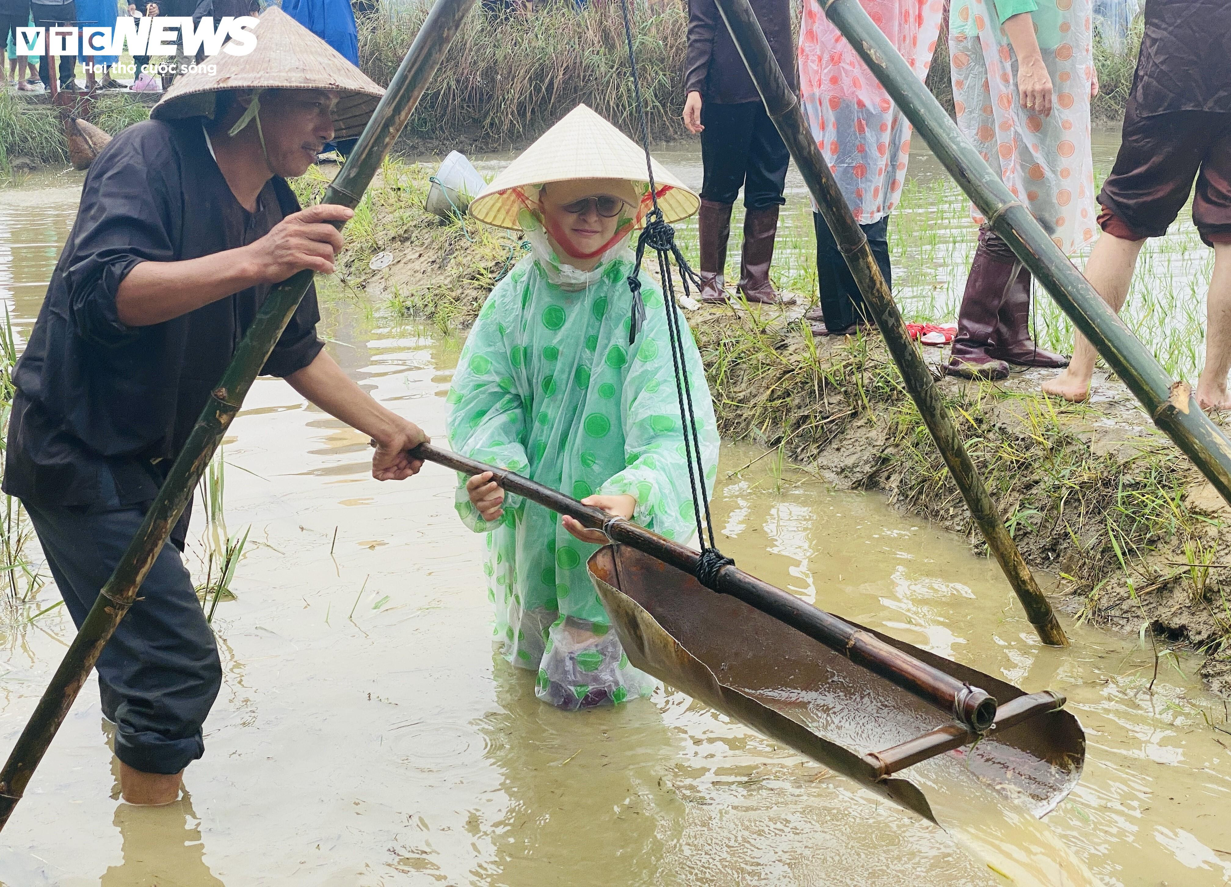 Ông Tây bà Đầm đội mưa lội bùn tát nước, cưỡi trâu cày ruộng, cấy lúa ở Hội An - 6