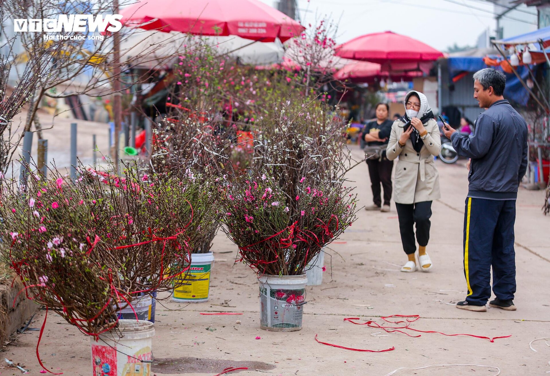 Đào Nhật Tân xuống phố sớm, hút người mua - 4