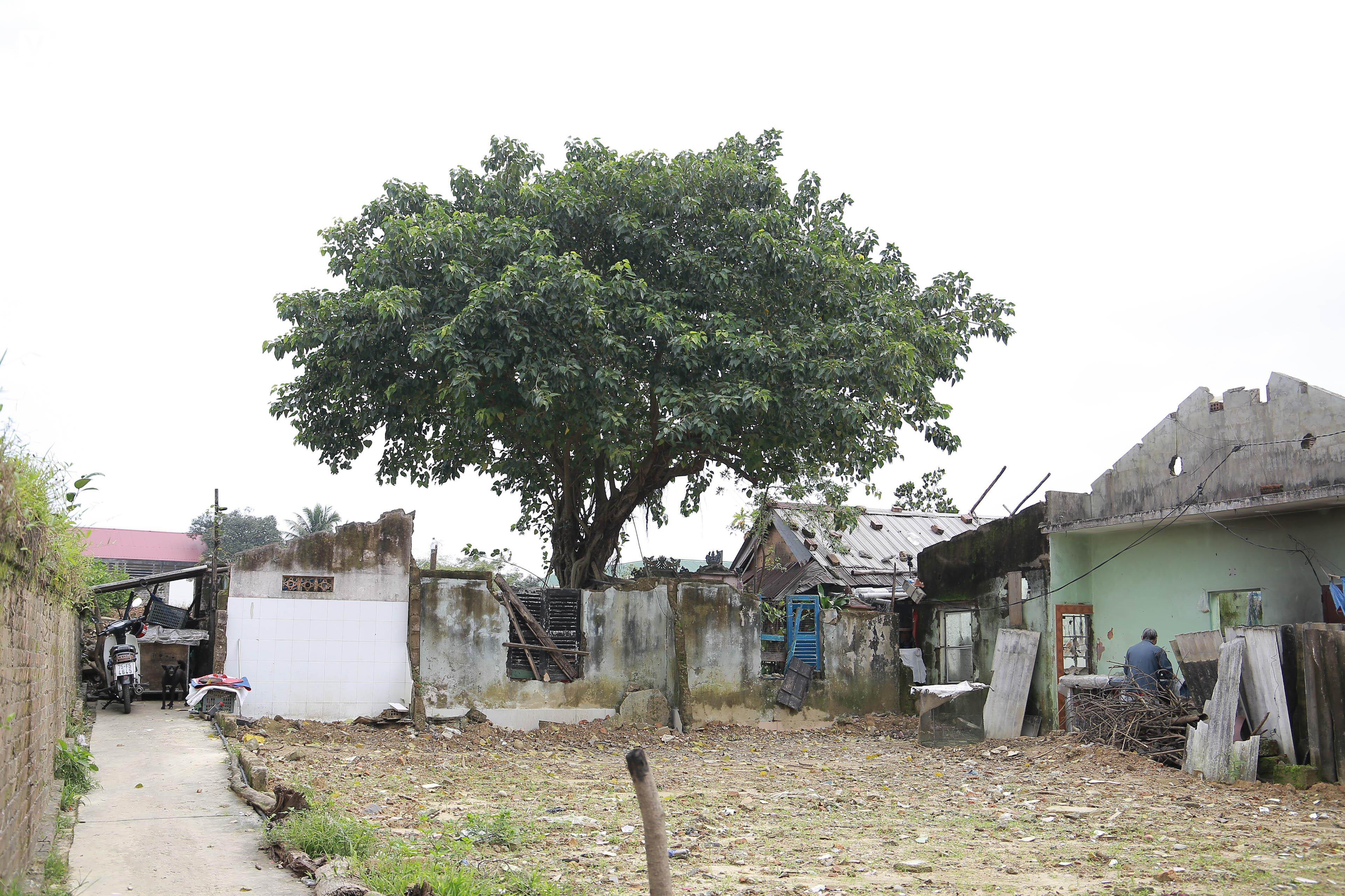 Cận cảnh diện mạo Kinh thành Huế sau cuộc di dân lịch sử - 13