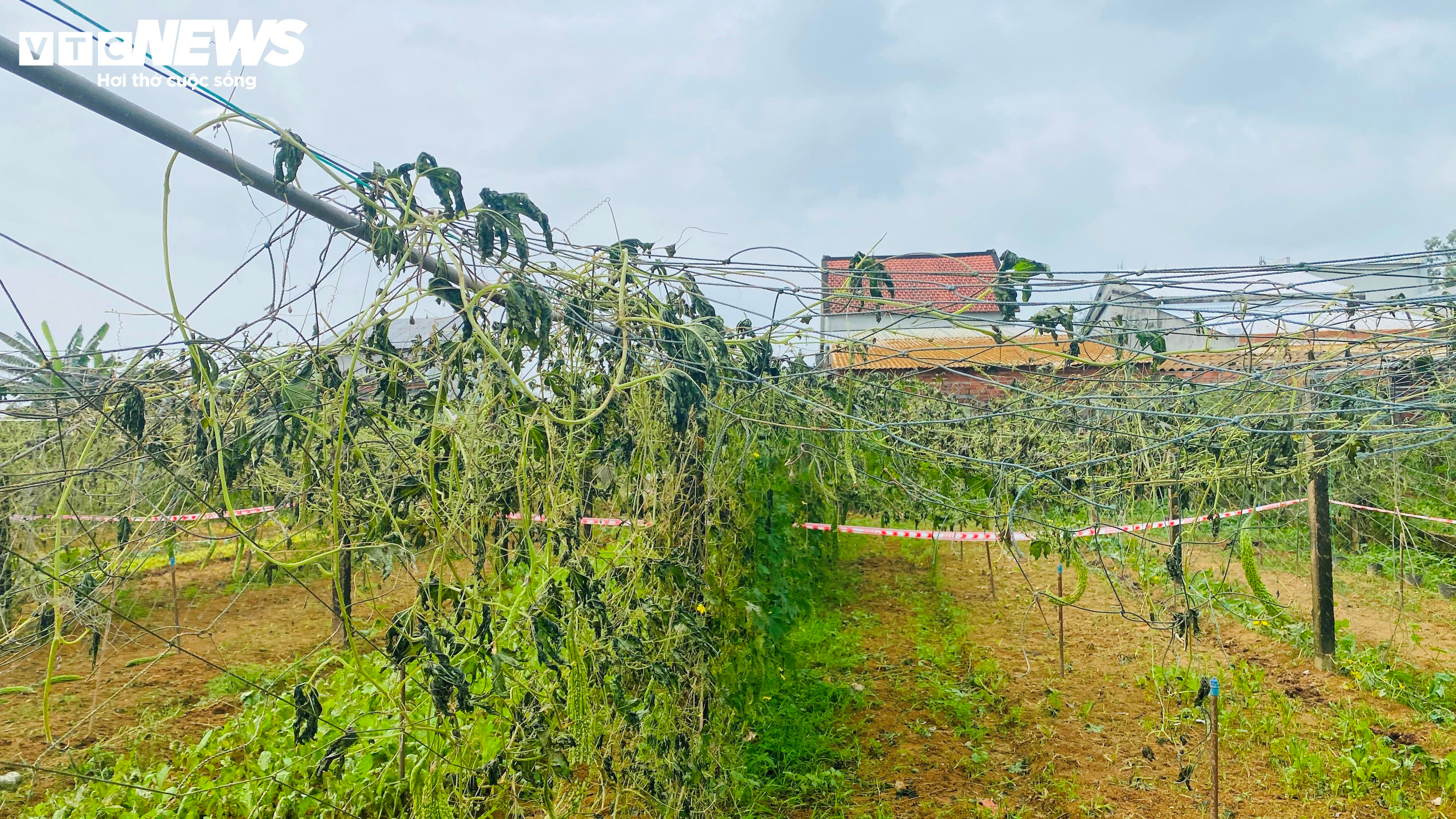 Hiện trường sau một ngày máy bay rơi ở Quảng Nam - 9