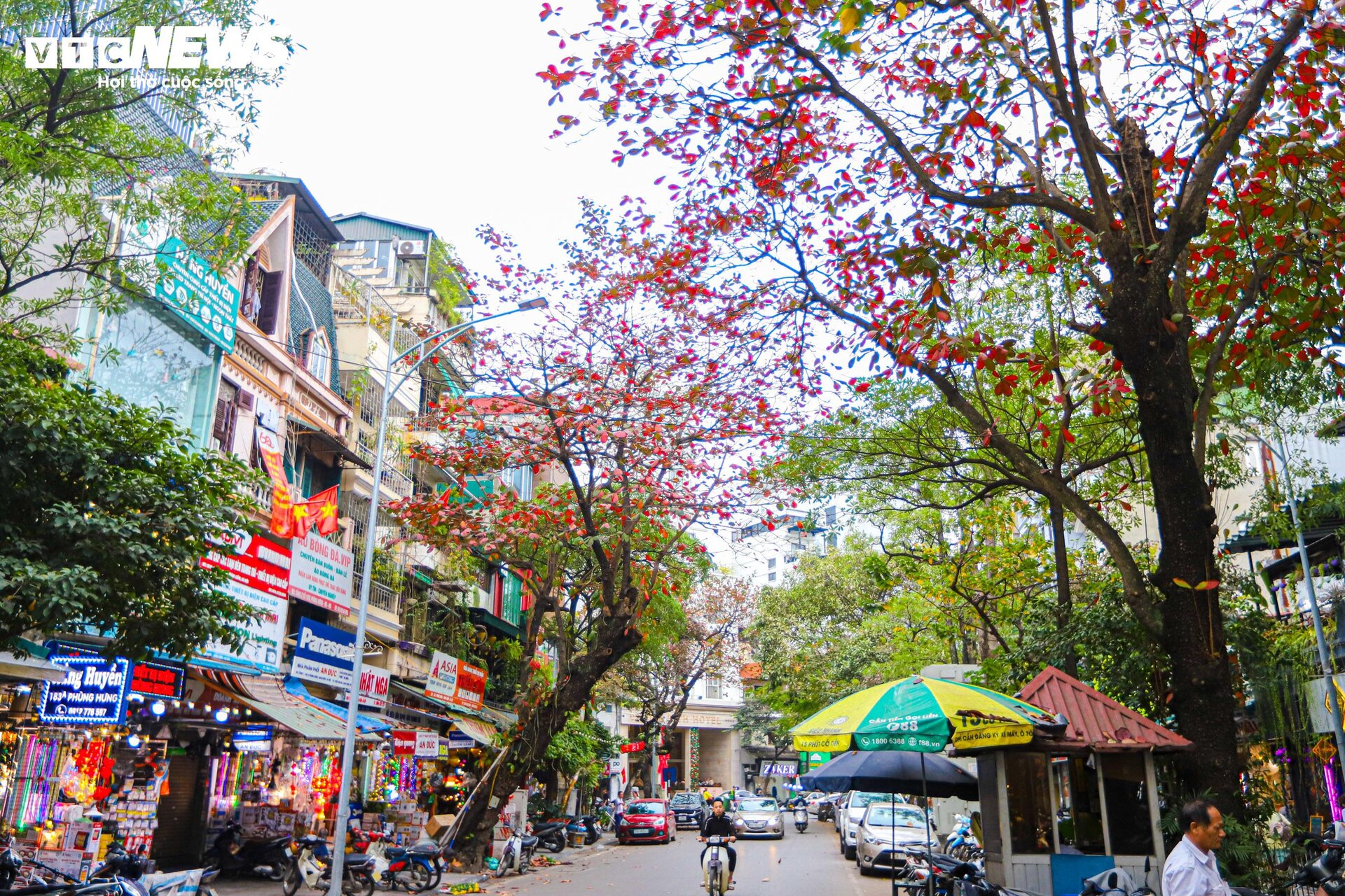 Hà Nội mùa cây bàng lá đỏ - 12