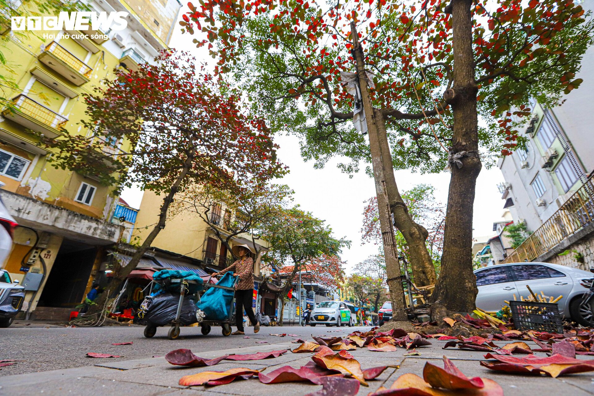 Hà Nội mùa cây bàng lá đỏ - 9