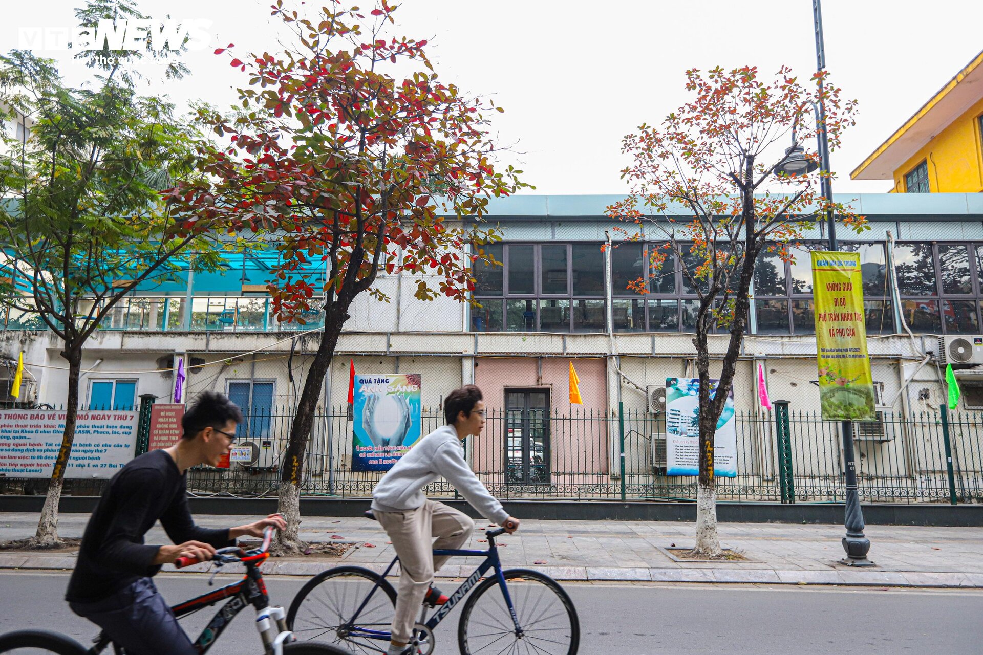 Hà Nội mùa cây bàng lá đỏ - 5