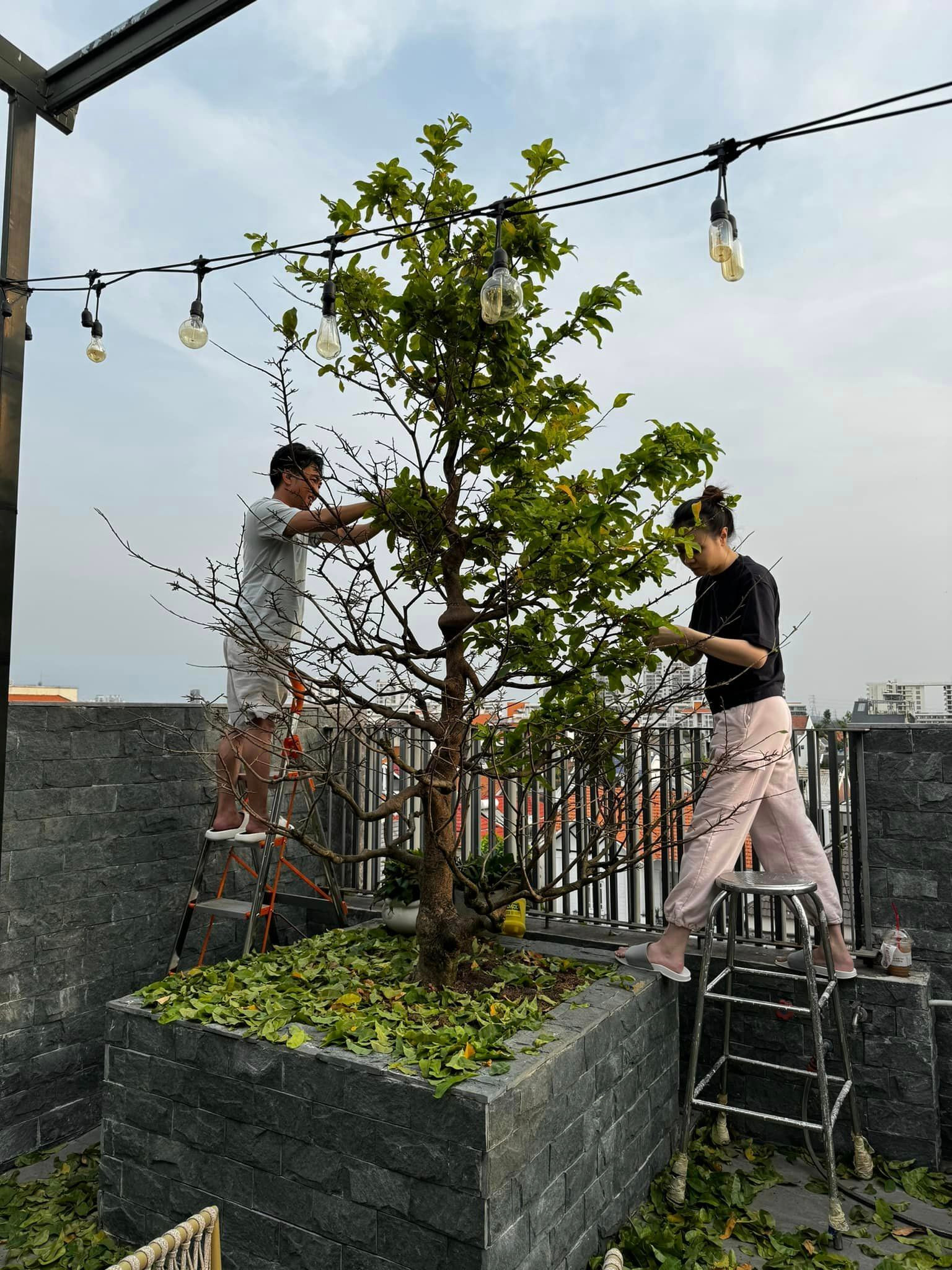 Sao Việt 21/1: Con gái Vũ Linh đóng kịch Tết, Nhã Phương đẹp dịu dàng - 4