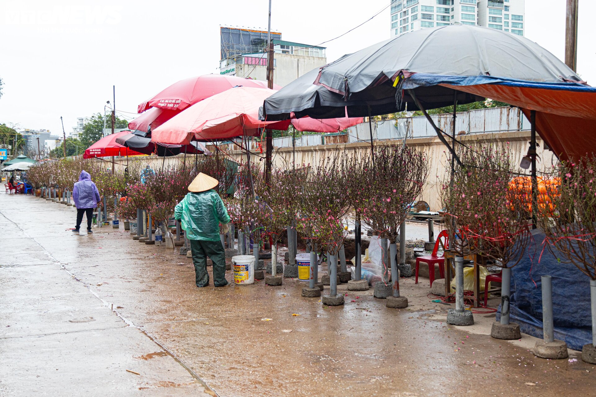 Hà Nội mưa rét đỉnh điểm, người bán 'ôm' cây cảnh Tết, sốt ruột chờ khách mua - 5