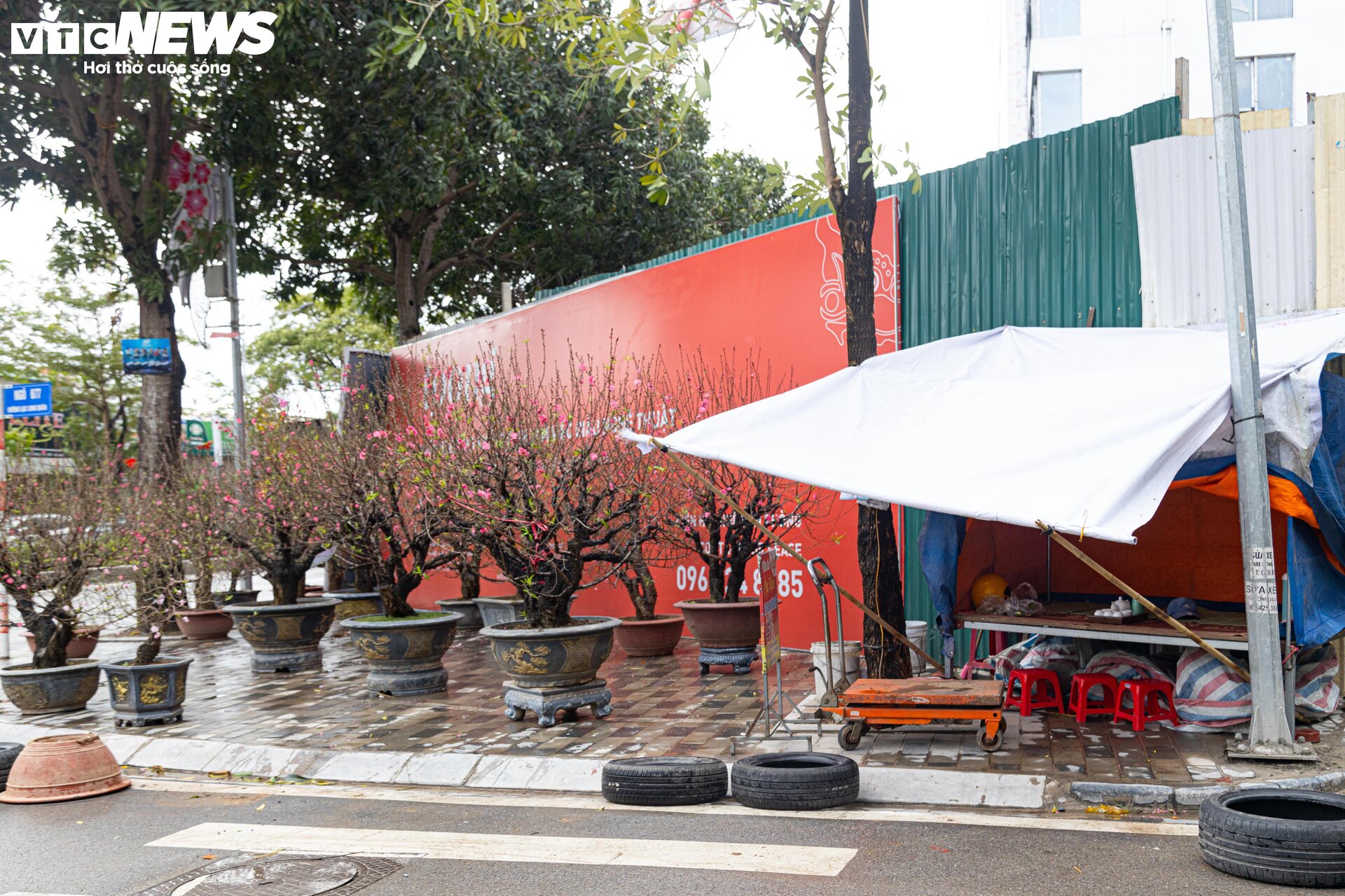 Hà Nội mưa rét đỉnh điểm, người bán 'ôm' cây cảnh Tết, sốt ruột chờ khách mua - 18