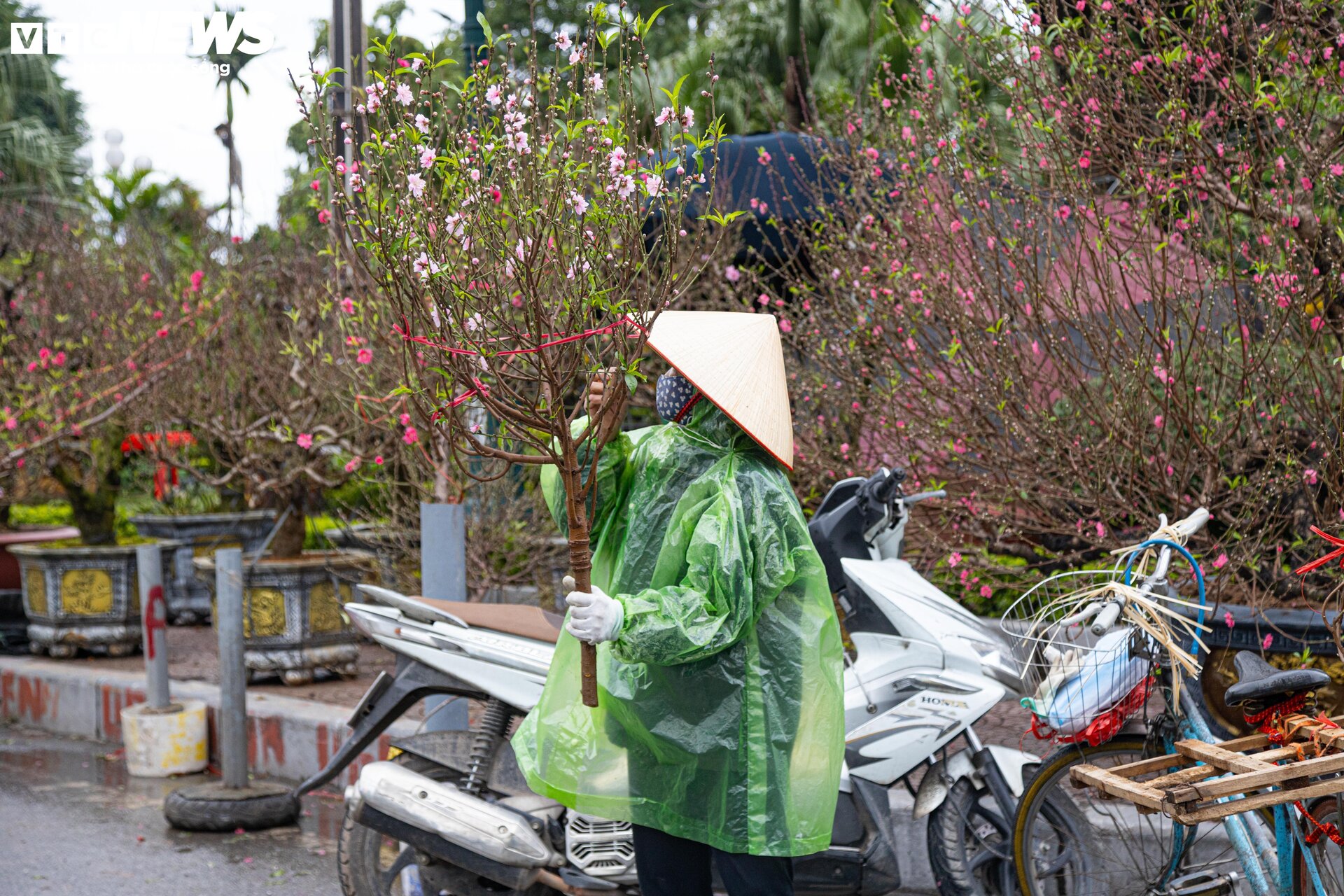 Hà Nội mưa rét đỉnh điểm, người bán 'ôm' cây cảnh Tết, sốt ruột chờ khách mua - 15