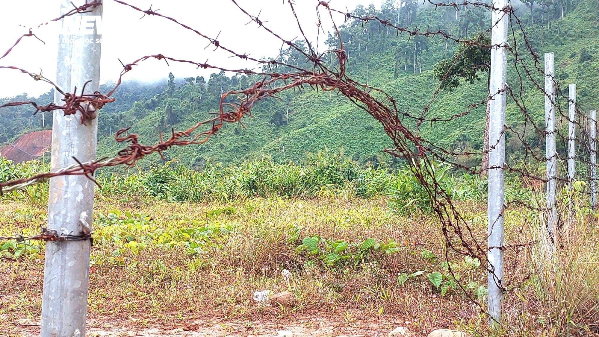 Nhiều tai nạn thảm khốc, tài xế vẫn xem cao tốc La Sơn-Túy Loan như chốn vô pháp - 10