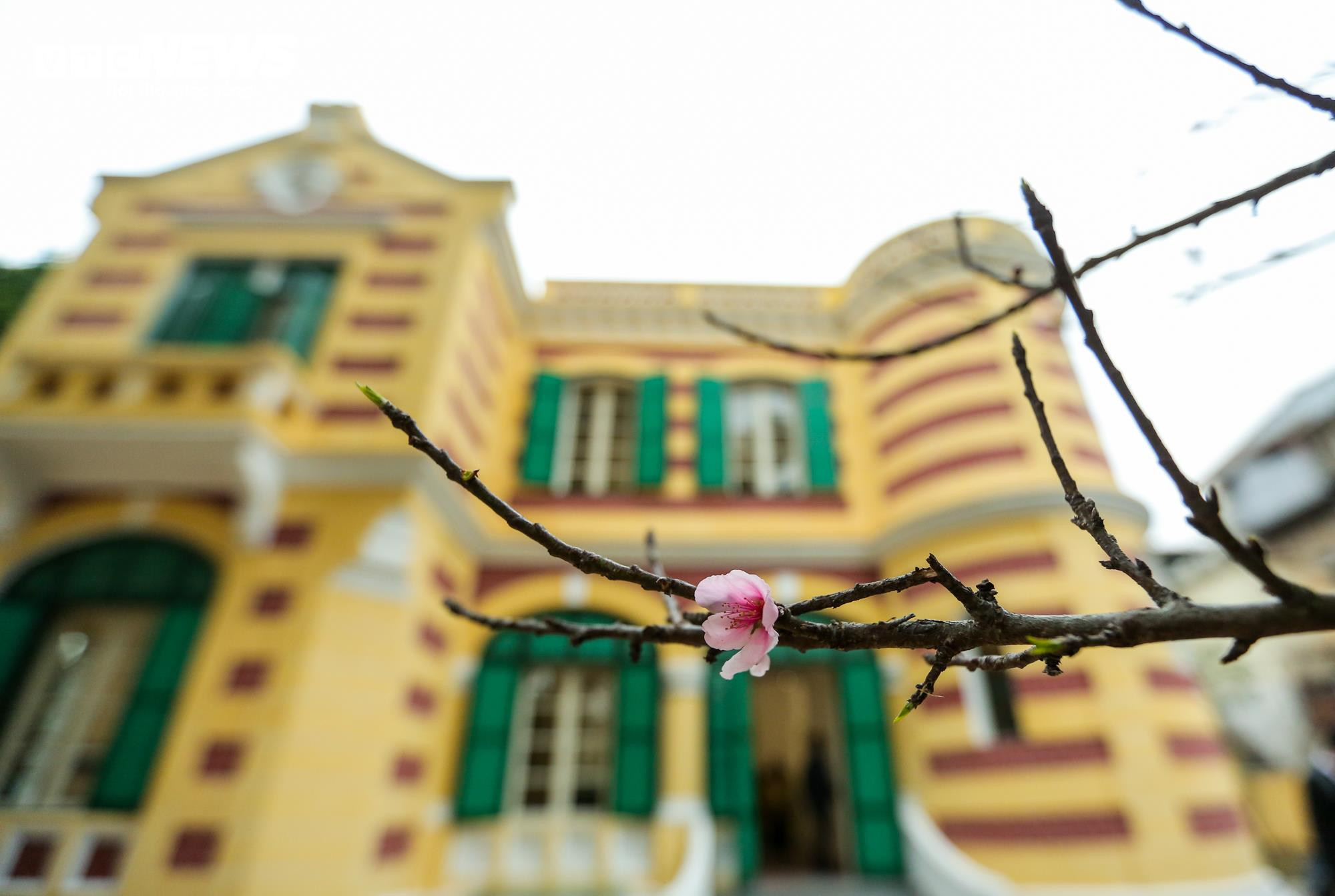 Biệt thự Pháp cổ từng gây tranh cãi mở cửa đón khách sau 2 năm trùng tu - 5