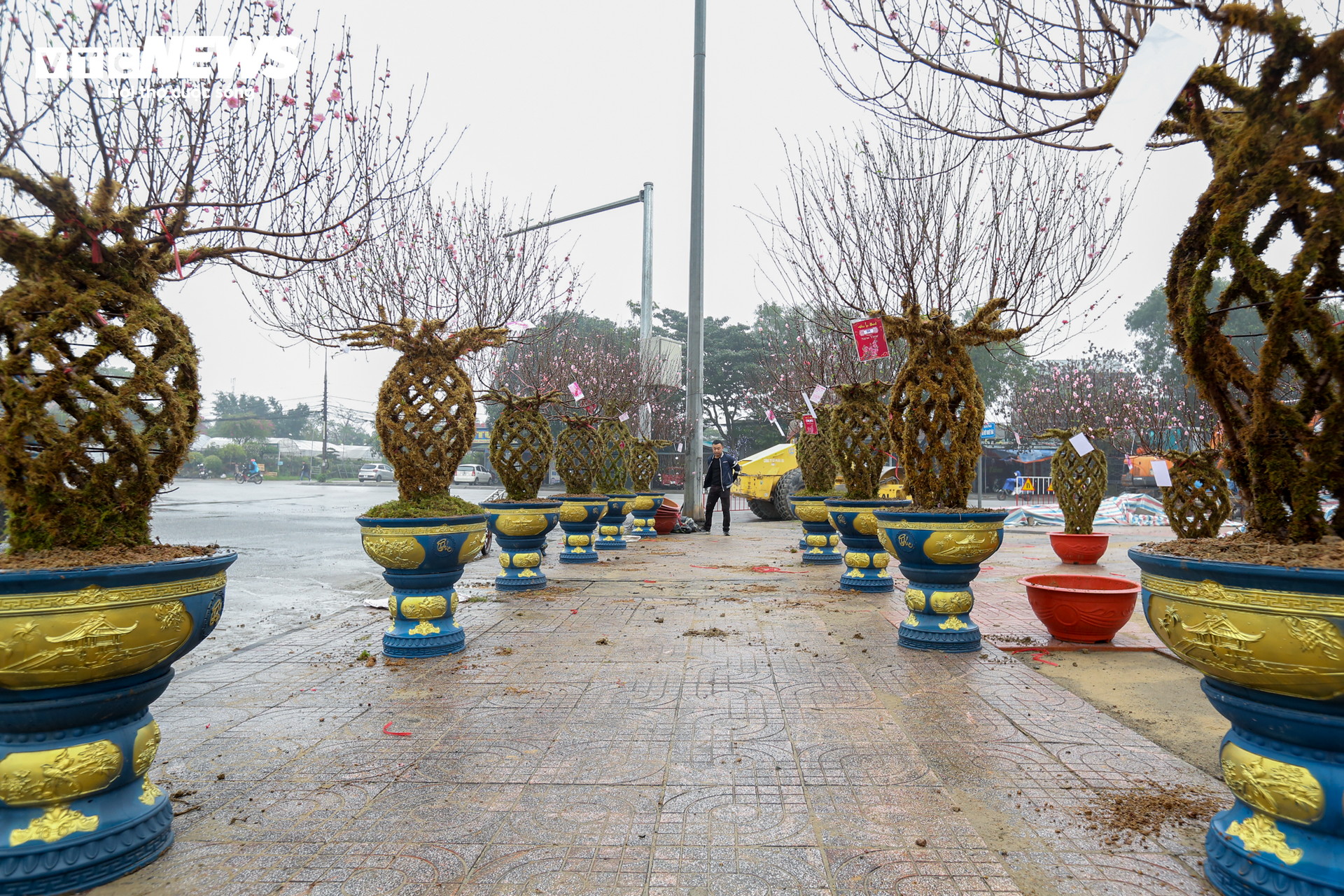 Độc đáo 10 cây đào uốn thành chiếc lộc bình hút khách chơi Tết - 16