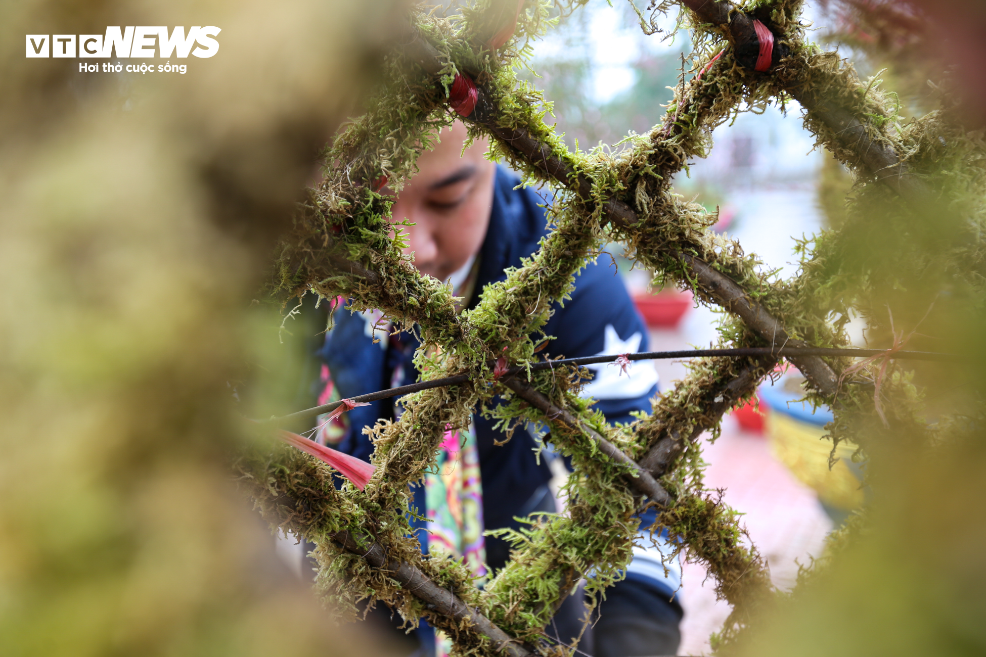 Độc đáo 10 cây đào uốn thành chiếc lộc bình hút khách chơi Tết - 8