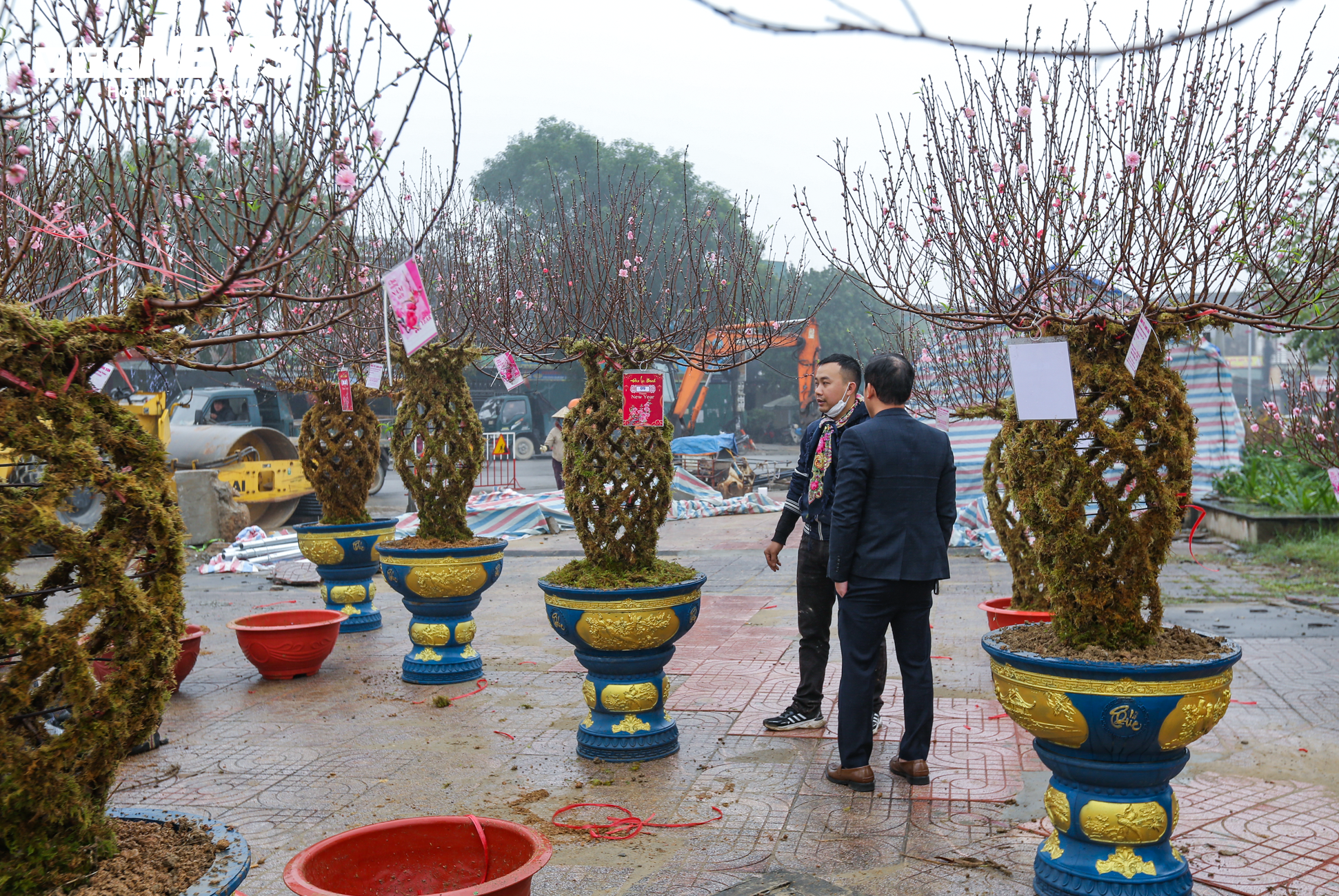 Độc đáo 10 cây đào uốn thành chiếc lộc bình hút khách chơi Tết - 1