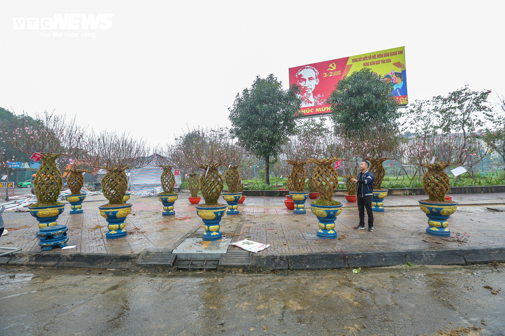 Độc đáo 10 cây đào uốn thành chiếc lộc bình hút khách chơi Tết - 4