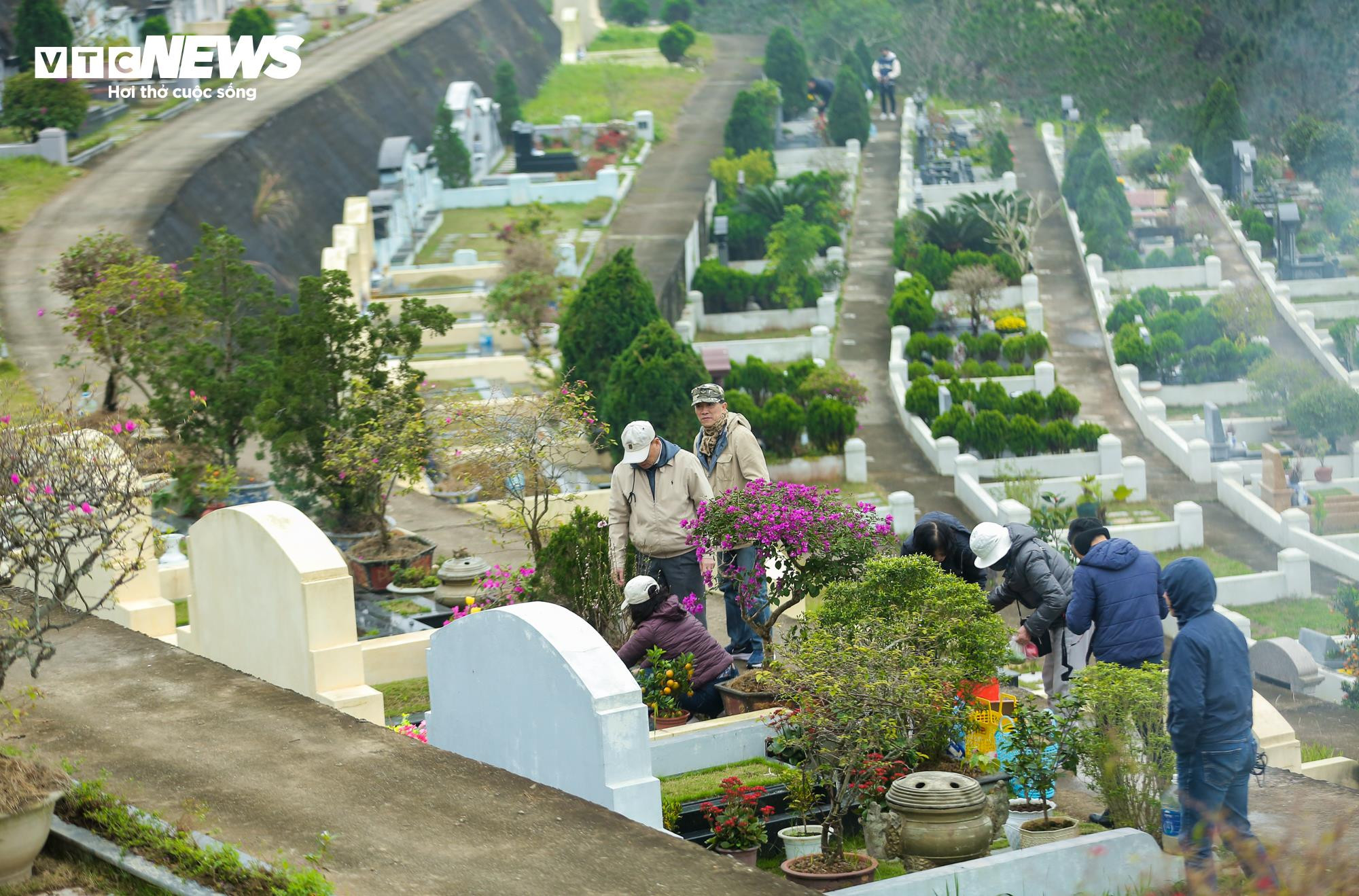 Người dân mang đào quất đi tảo mộ, mời tổ tiên về đón Tết - 5