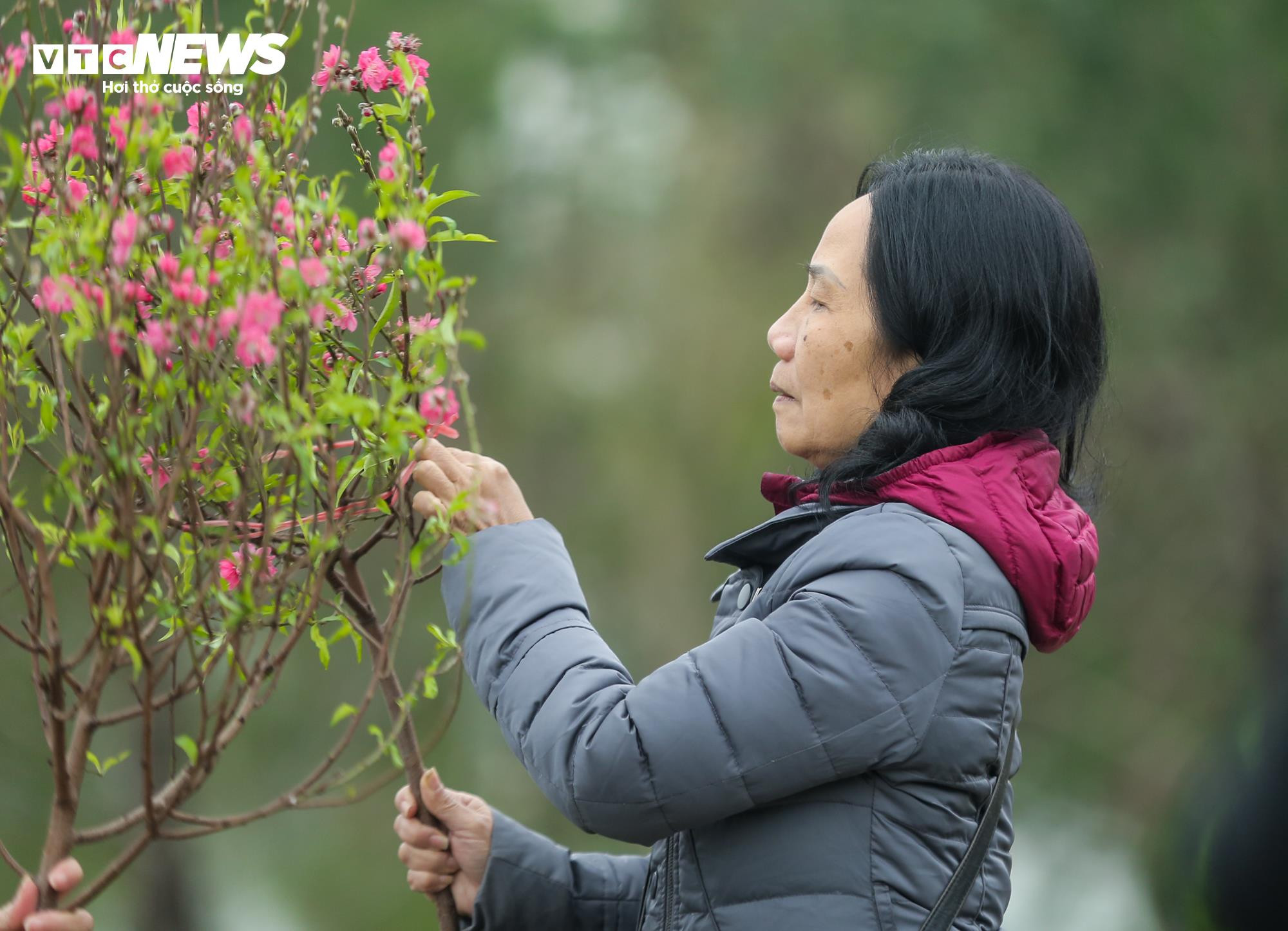 Người dân mang đào quất đi tảo mộ, mời tổ tiên về đón Tết - 8