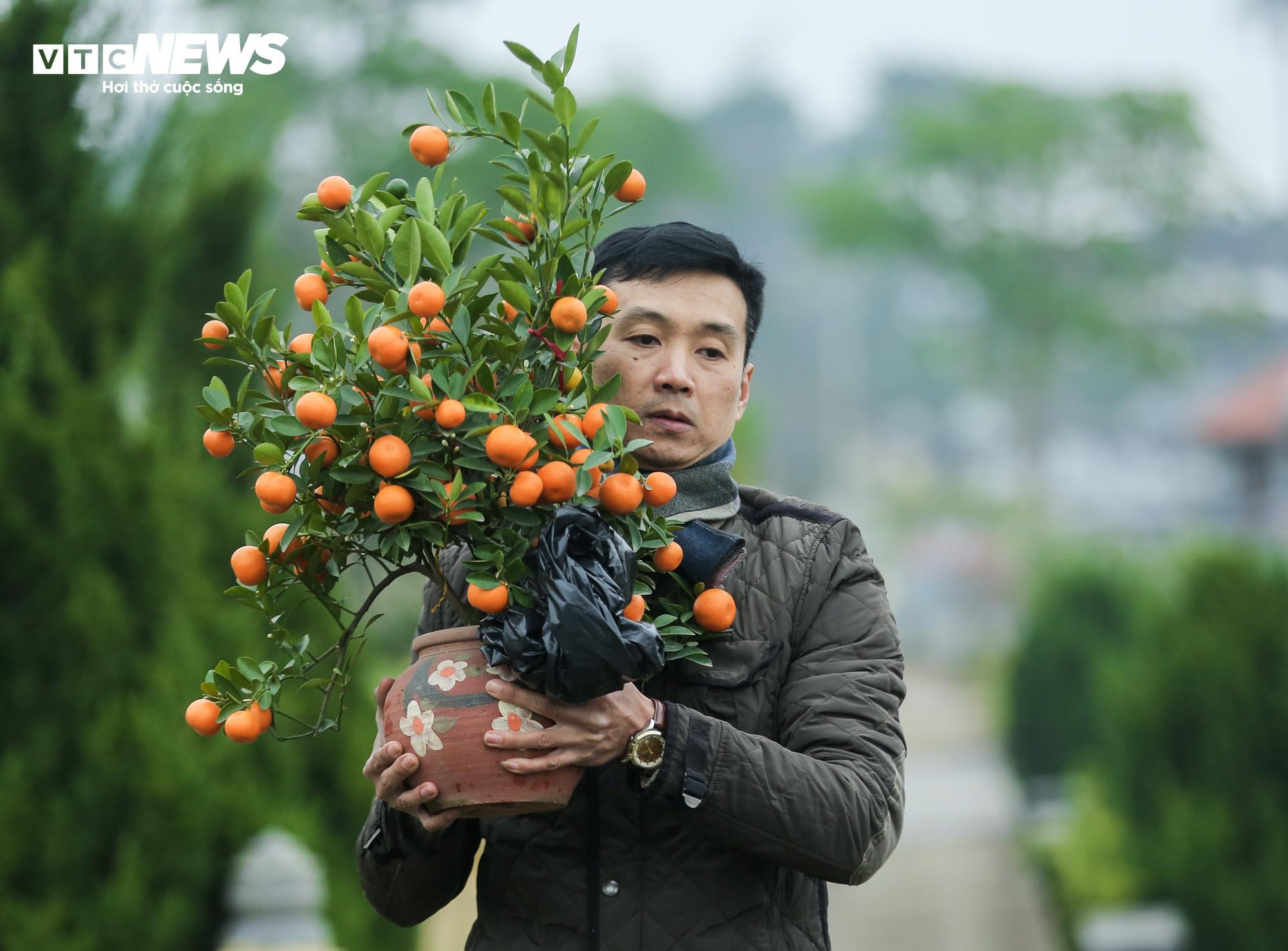 Người dân mang đào quất đi tảo mộ, mời tổ tiên về đón Tết - 3