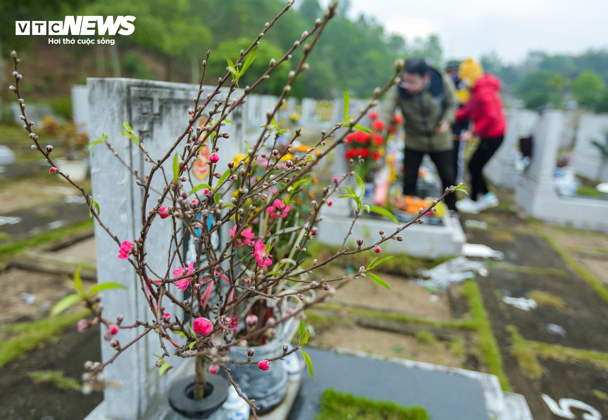 Người dân mang đào quất đi tảo mộ, mời tổ tiên về đón Tết - 13