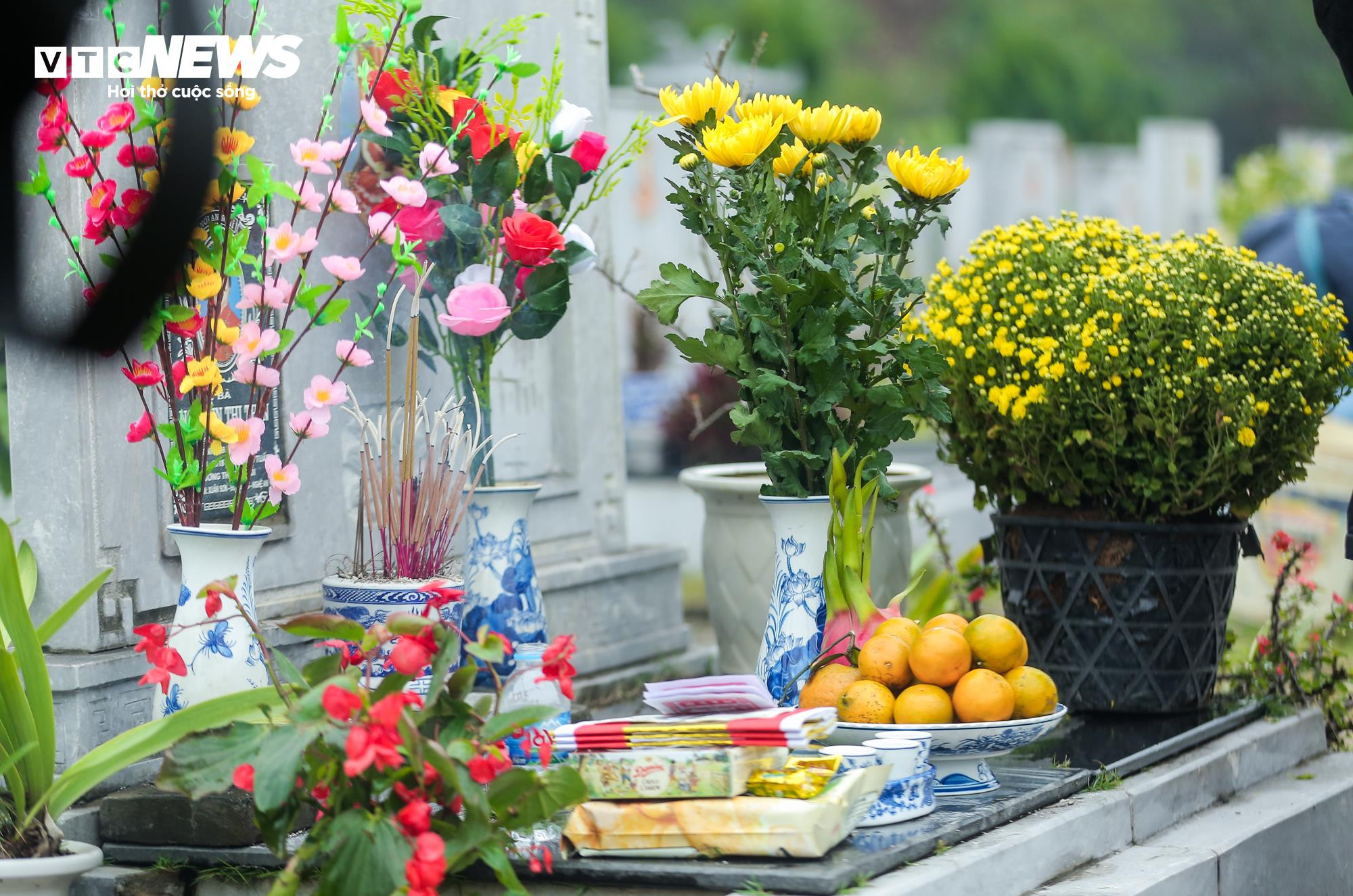 Người dân mang đào quất đi tảo mộ, mời tổ tiên về đón Tết - 12