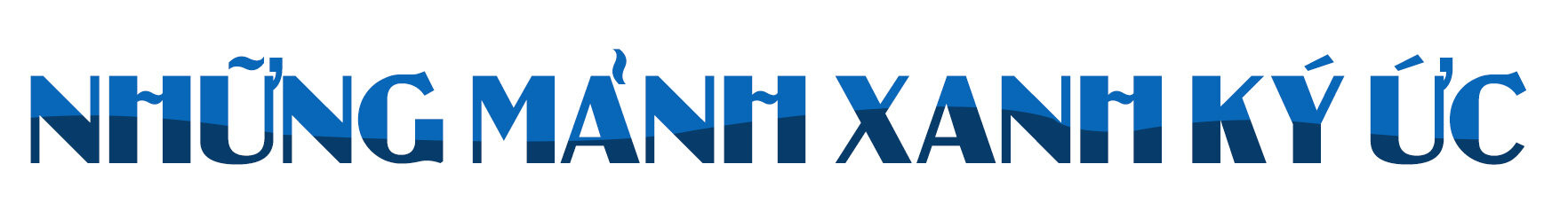 Rừng phòng hộ 'chết oan' ở Bình Định: Rừng mất, người than khóc - 5