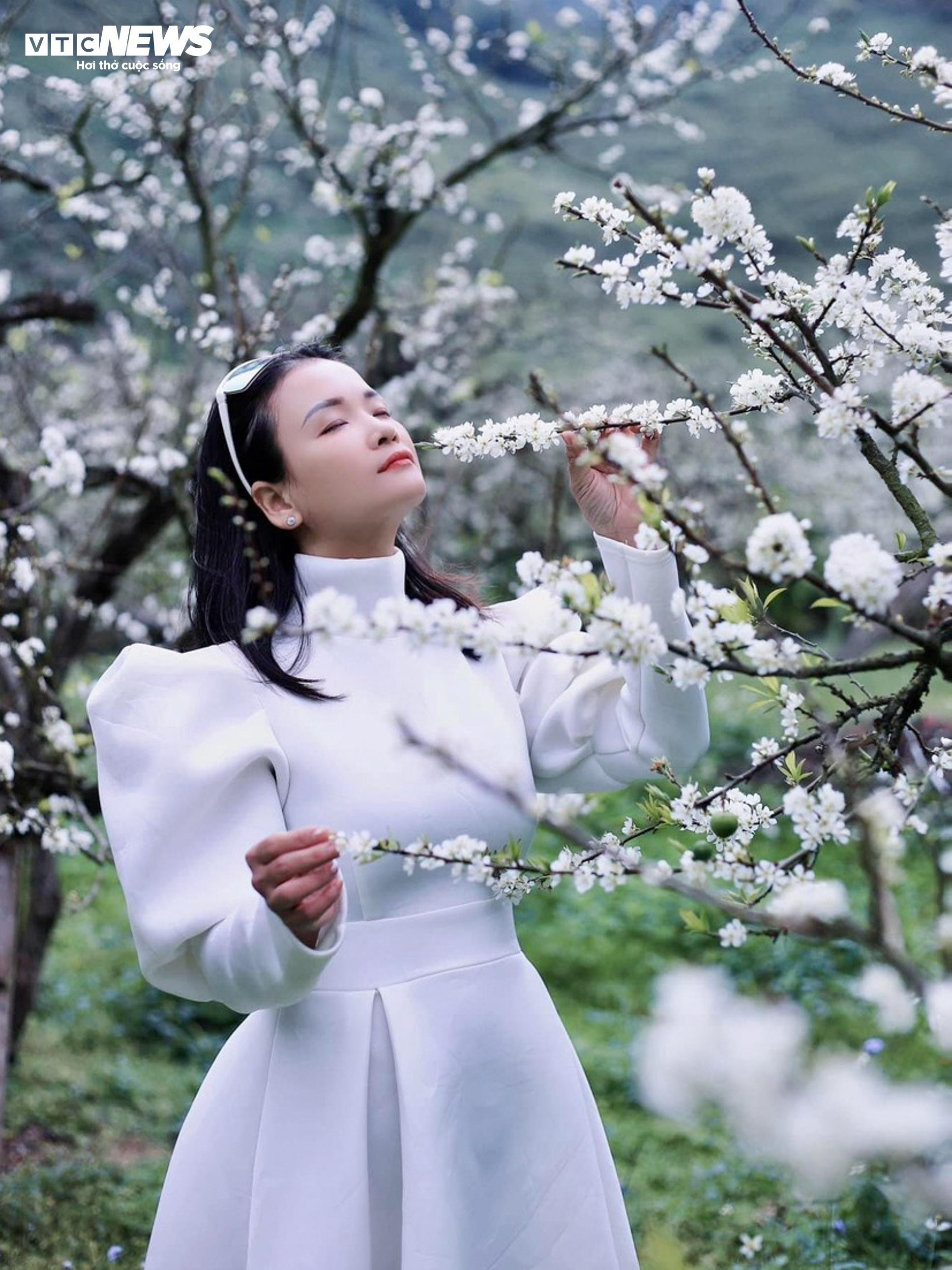 Lên cao nguyên Mộc Châu ngắm hoa mận nở trắng trời - 8