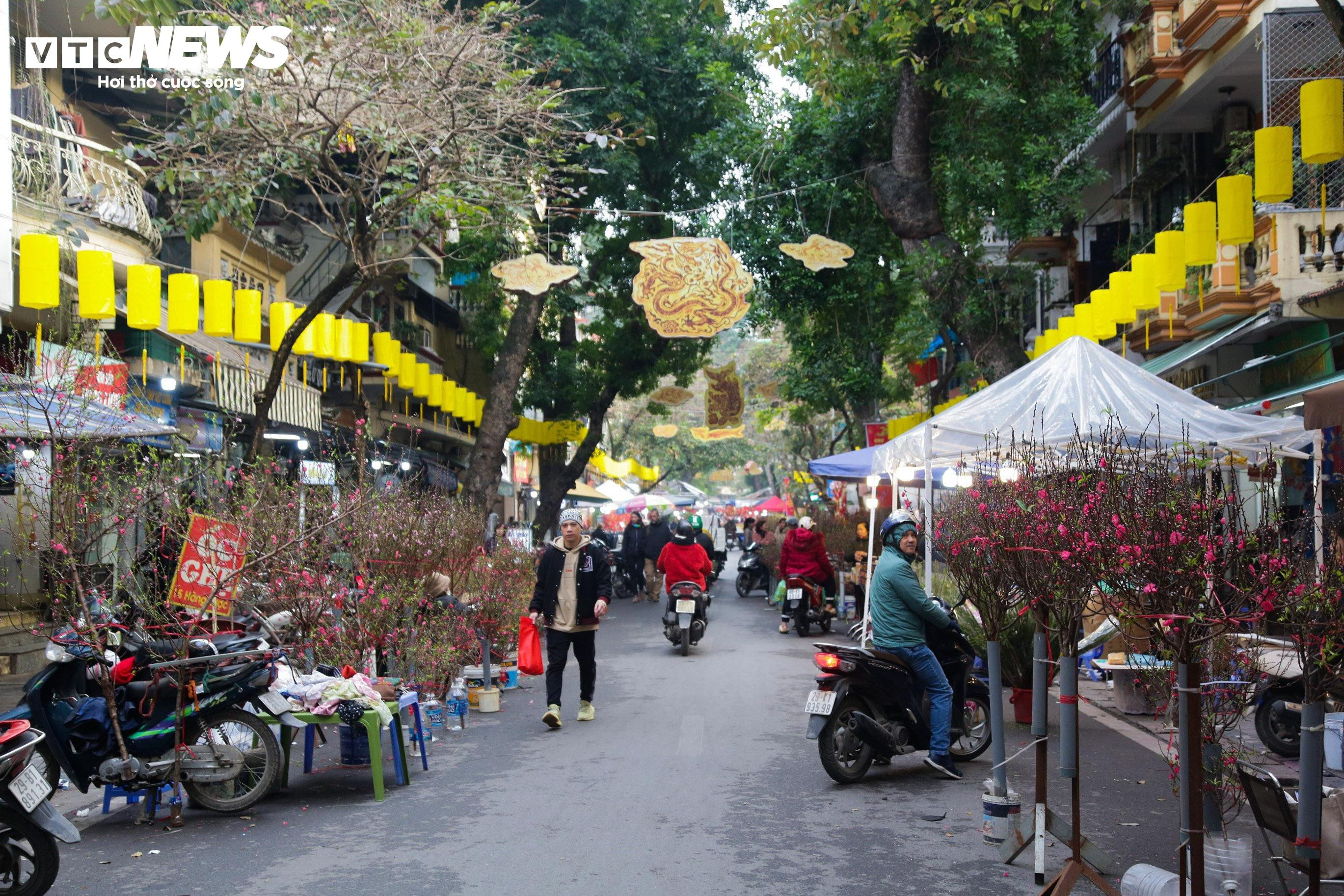 Người Hà Nội tấp nập đi chợ hoa Hàng Lược trước Tết ông Táo - 15