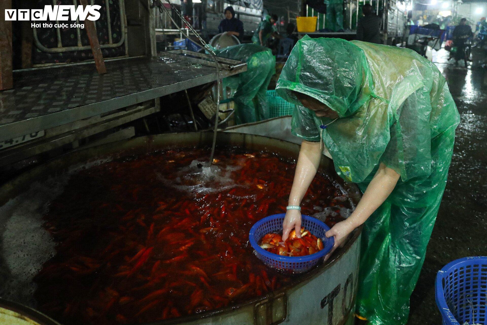 Chợ cá lớn nhất Hà Nội buôn bán xuyên đêm trước ngày ông Công, ông Táo - 4