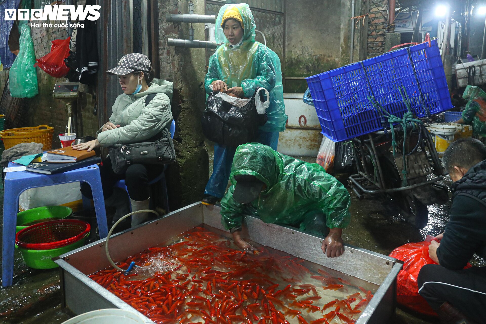 Chợ cá lớn nhất Hà Nội buôn bán xuyên đêm trước ngày ông Công, ông Táo - 11