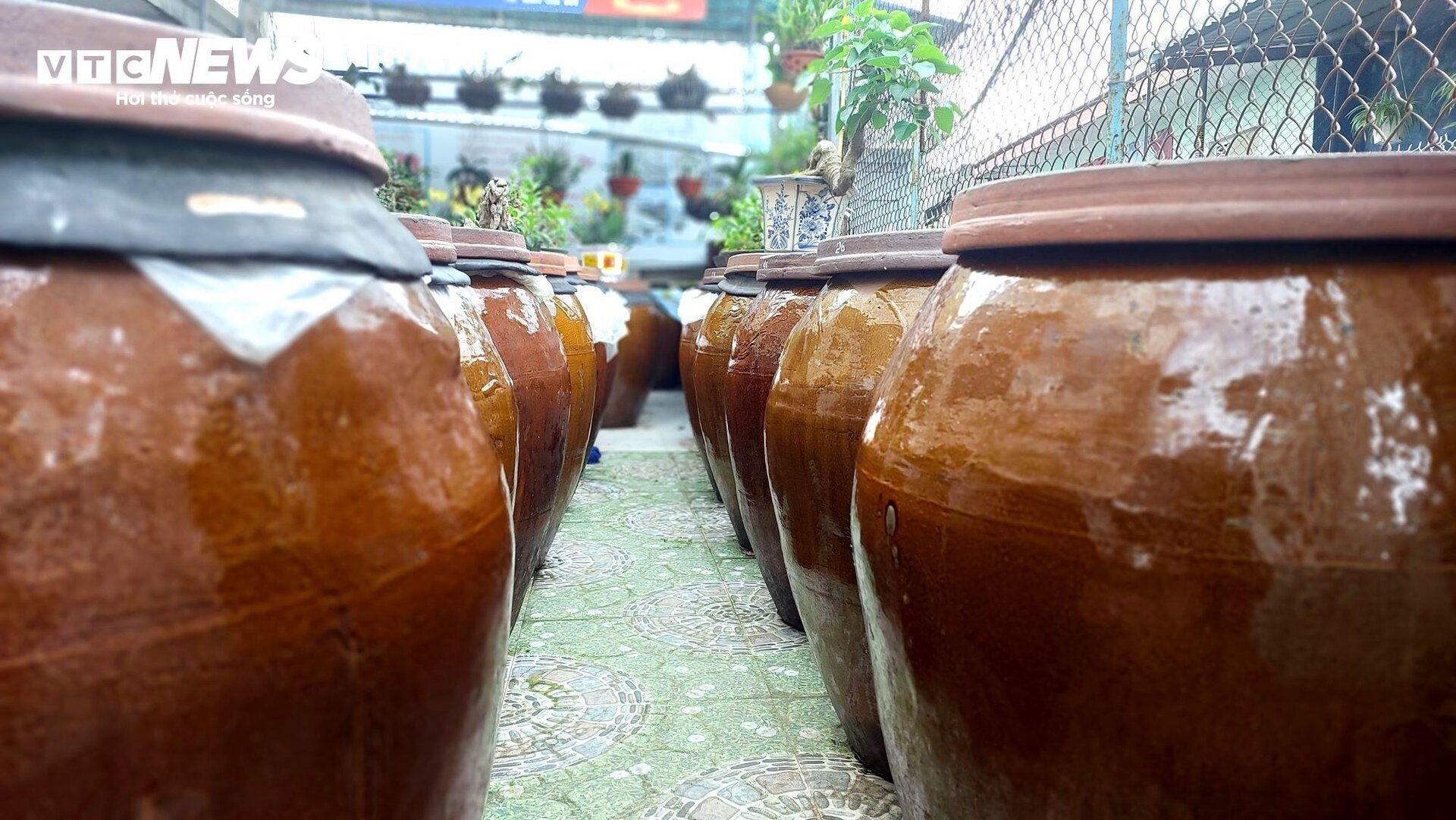 Làng nước mắm nức tiếng 400 năm ở Đà Nẵng - 7