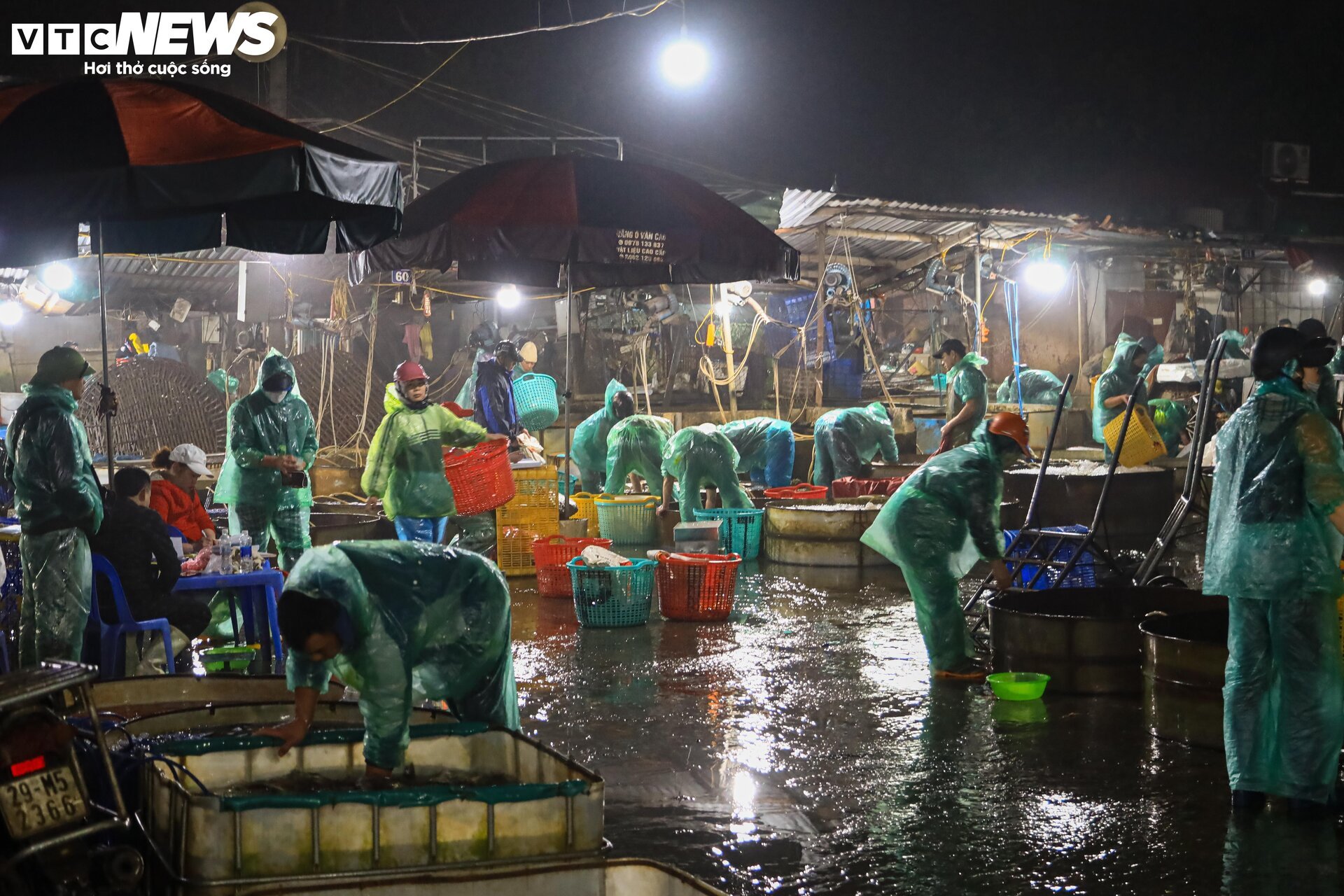 Chợ cá lớn nhất Hà Nội buôn bán xuyên đêm trước ngày ông Công, ông Táo - 2