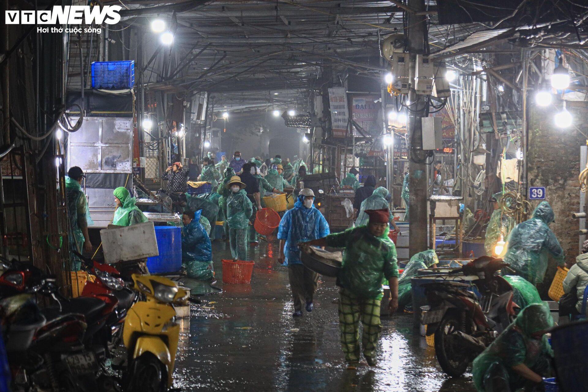 Chợ cá lớn nhất Hà Nội buôn bán xuyên đêm trước ngày ông Công, ông Táo - 1