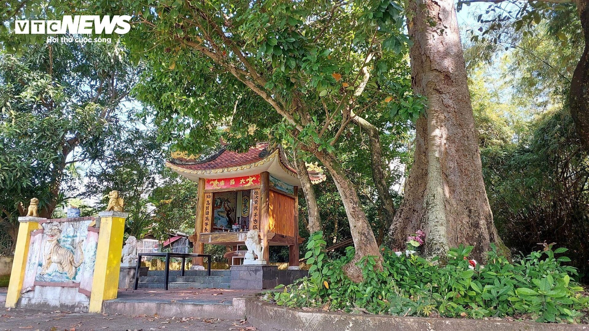 Cận cảnh làng cổ hơn 100 năm ở Đà Nẵng vẫn giữ nguyên vẹn nét cổ kính - 7