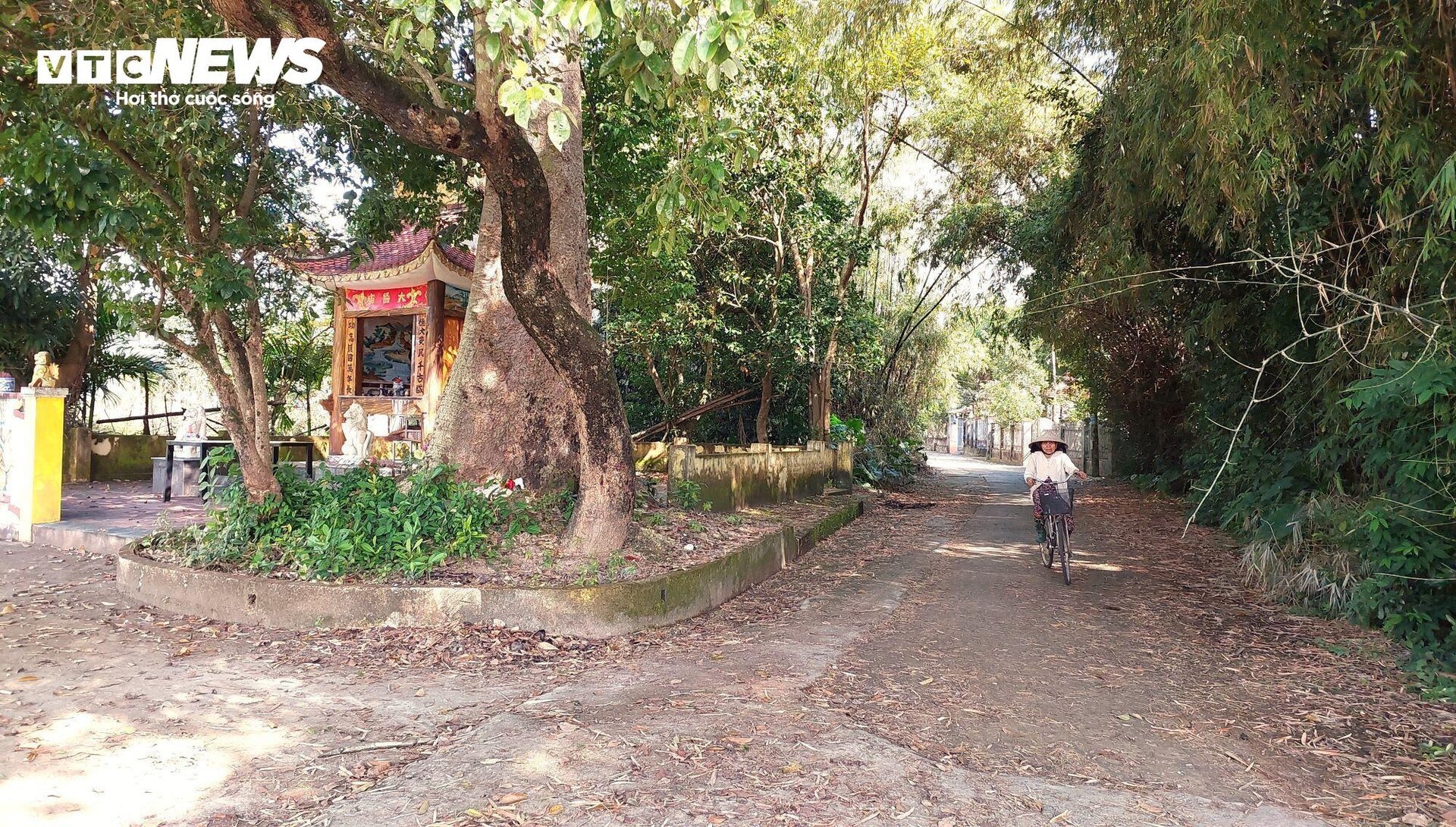 Cận cảnh làng cổ hơn 100 năm ở Đà Nẵng vẫn giữ nguyên vẹn nét cổ kính - 3