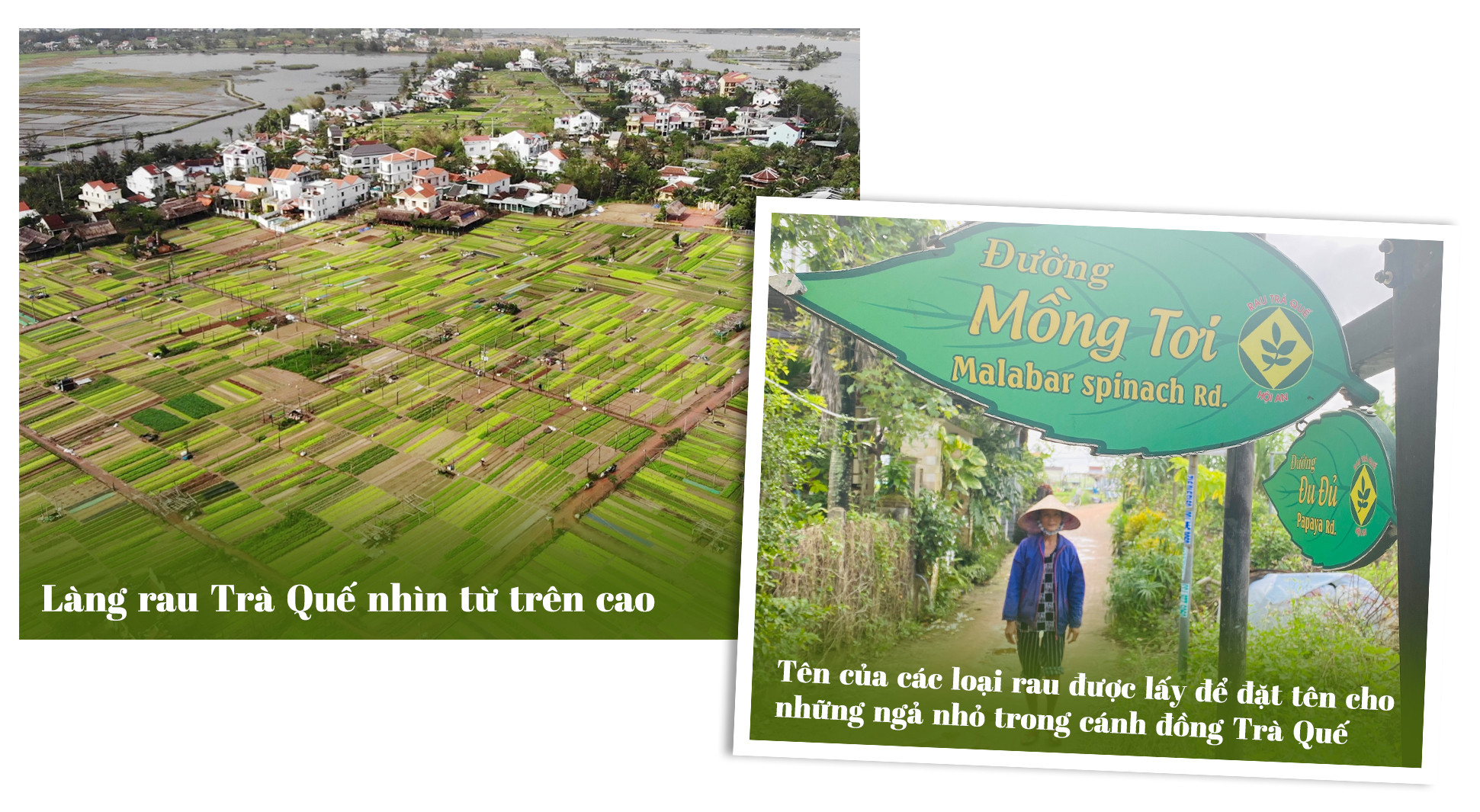 Lạ đời du khách bỏ tiền vọc đất trồng rau, nông dân ‘bắn’ tiếng Anh như gió - 2