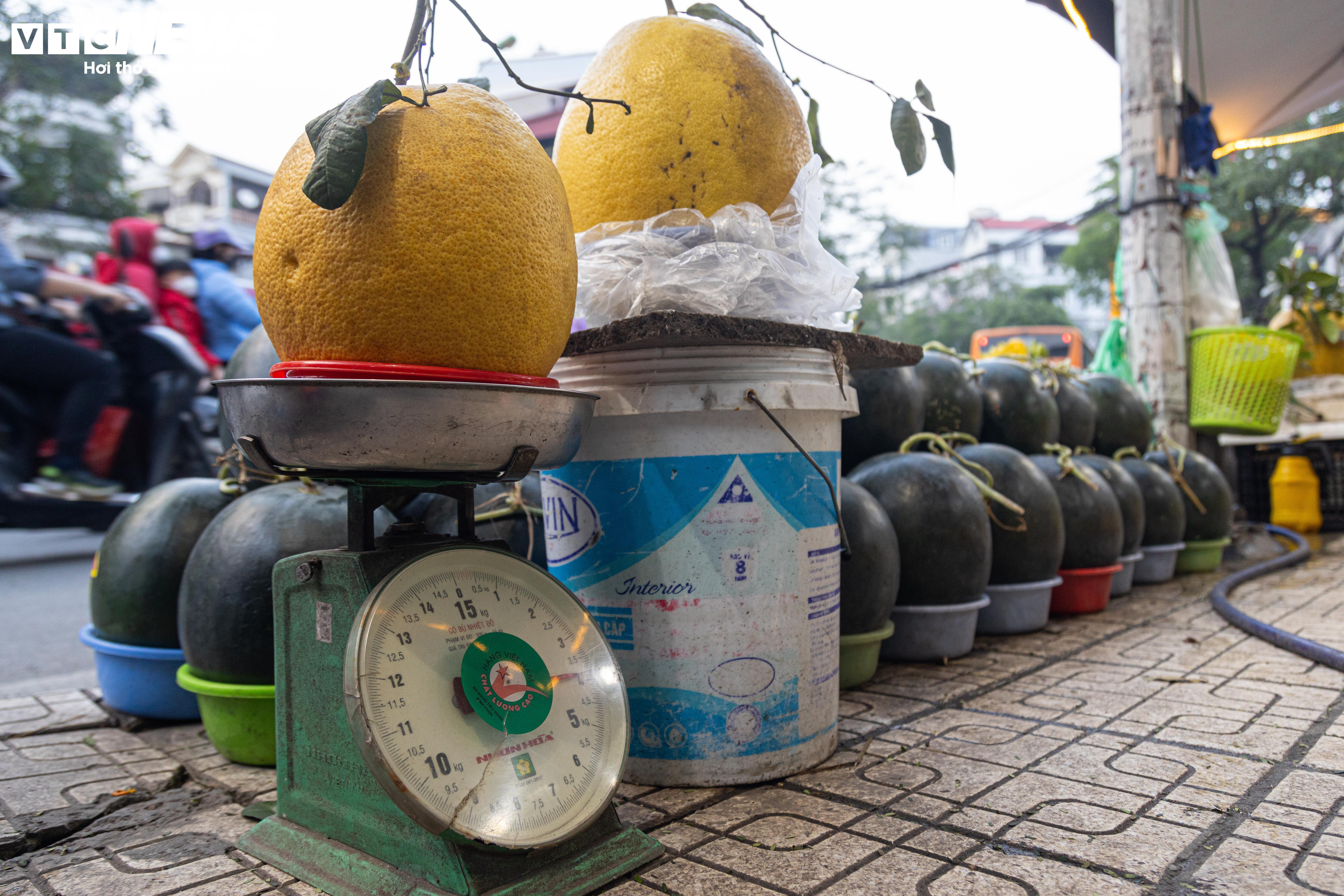 Bòng Kỳ Đà khổng lồ giá tiền triệu hút khách chơi Tết - 5