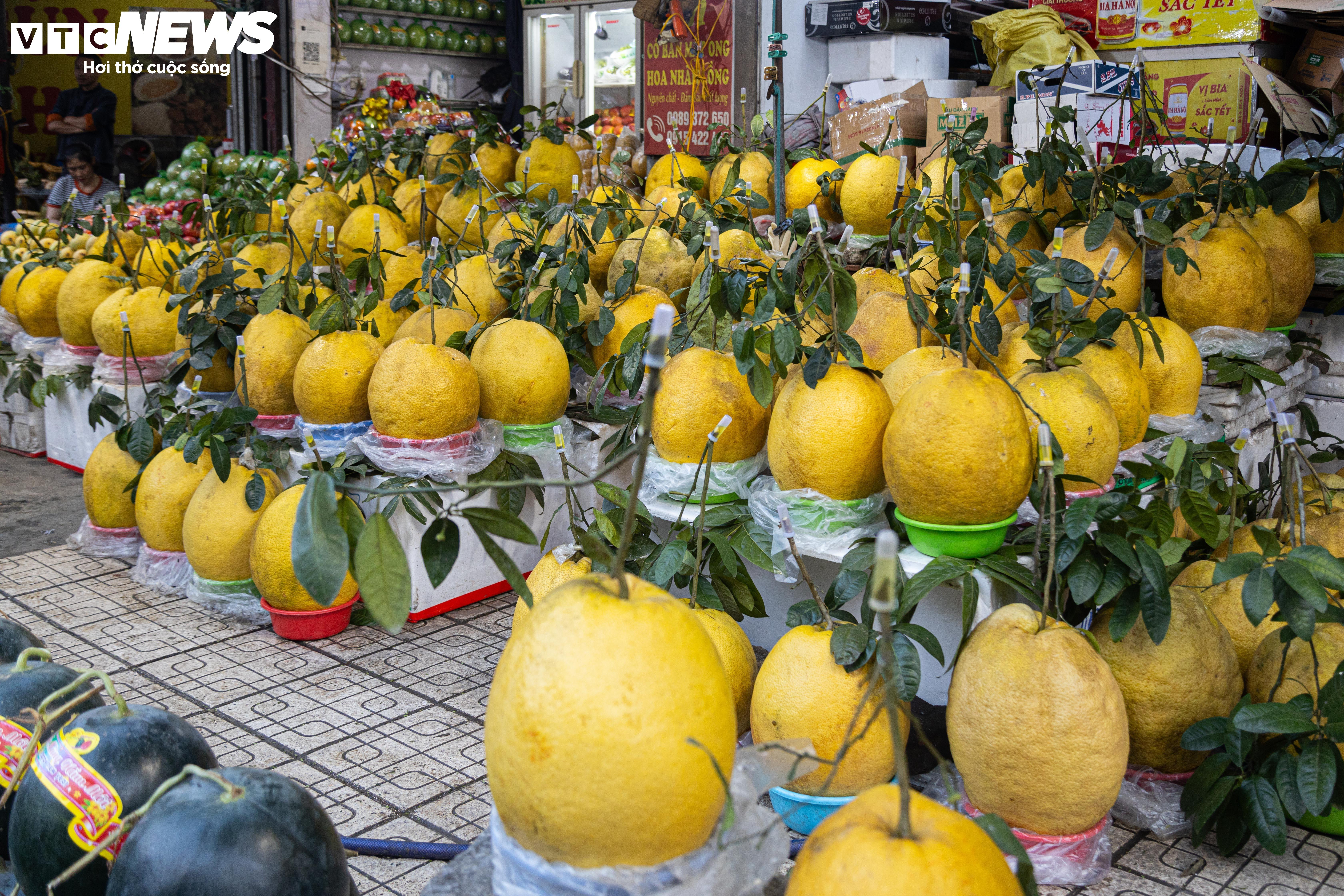 Bòng Kỳ Đà khổng lồ giá tiền triệu hút khách chơi Tết - 1