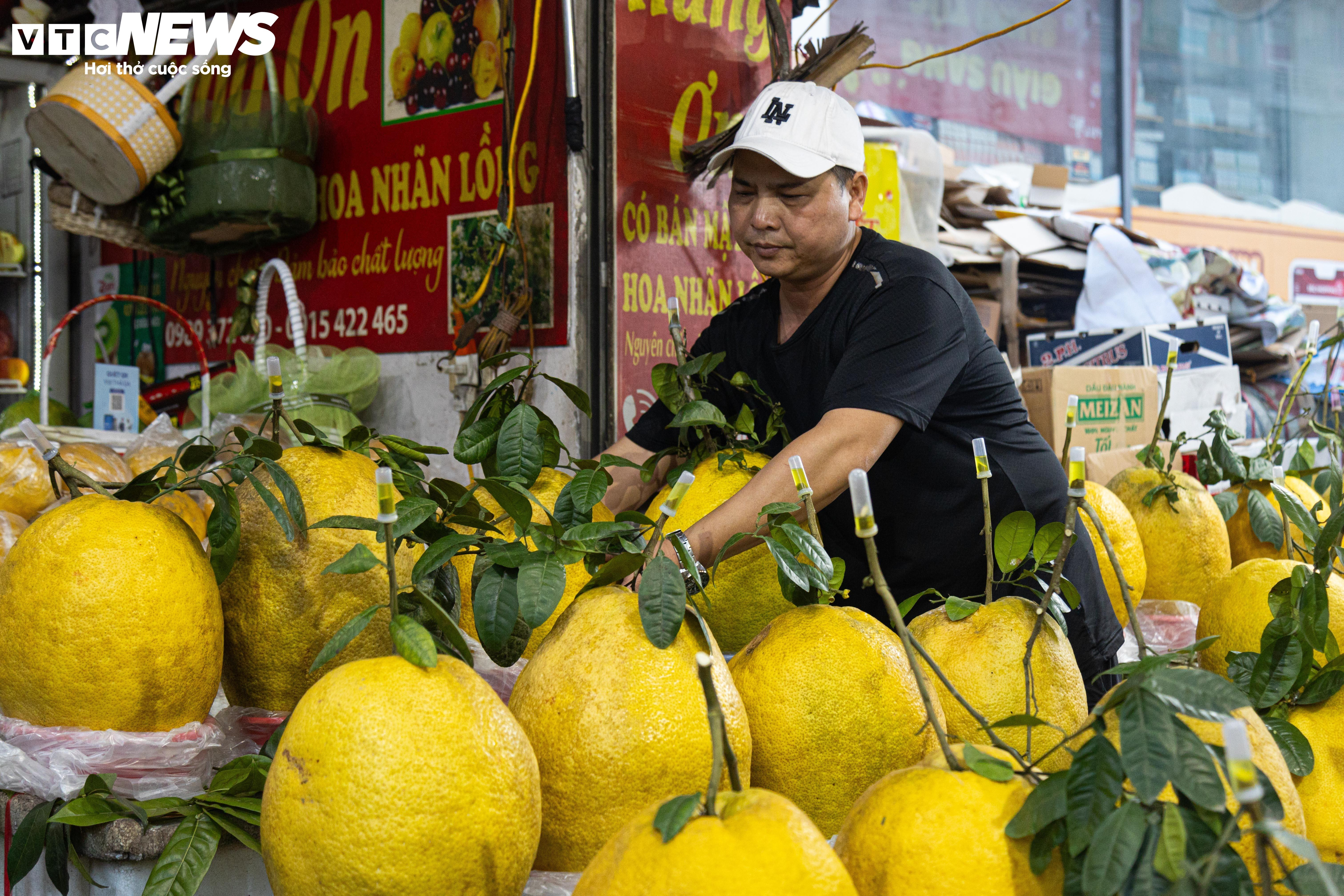 Bòng Kỳ Đà khổng lồ giá tiền triệu hút khách chơi Tết - 7