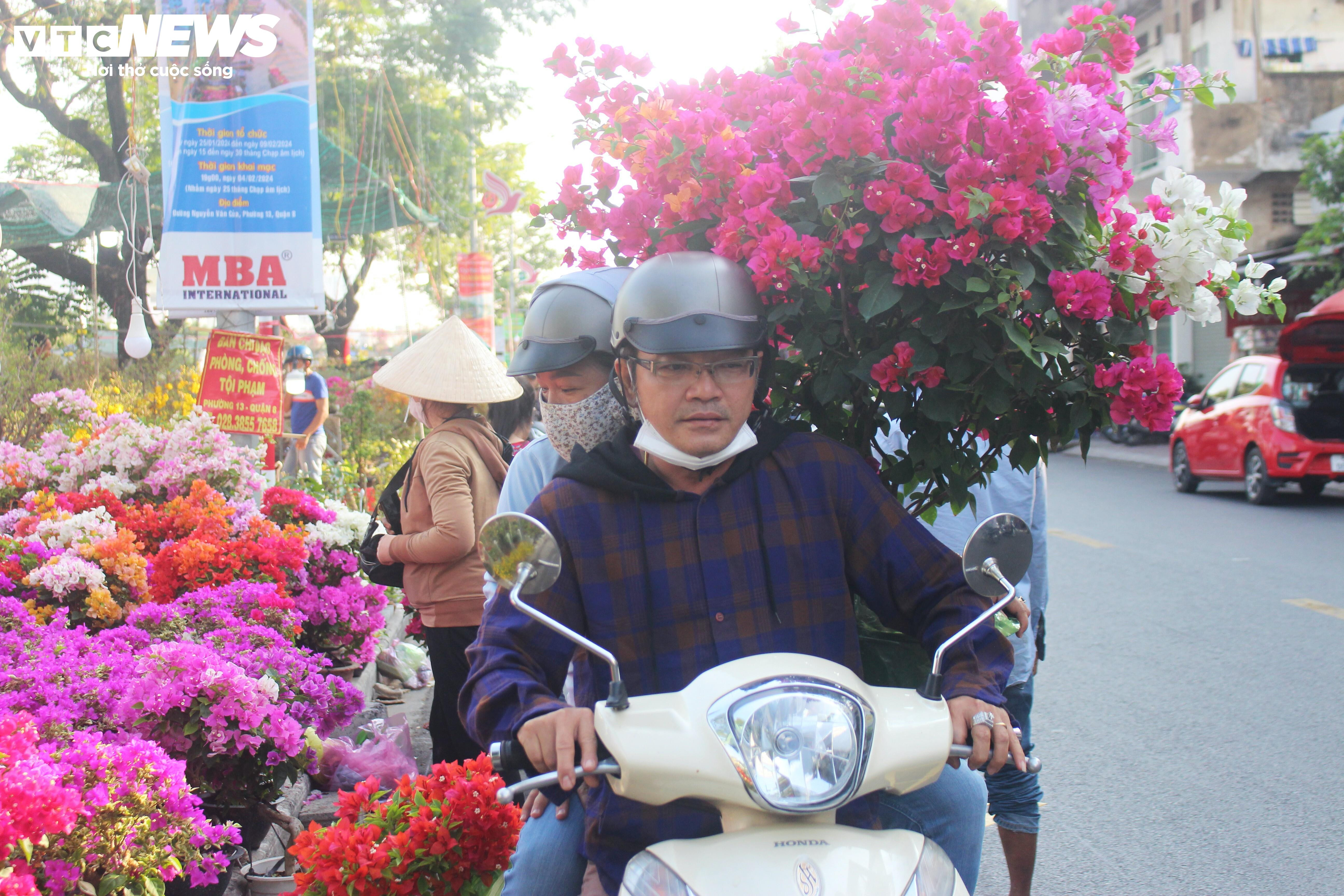 Phiên chợ hoa đặc biệt ngày giáp Tết ở TP.HCM - 6