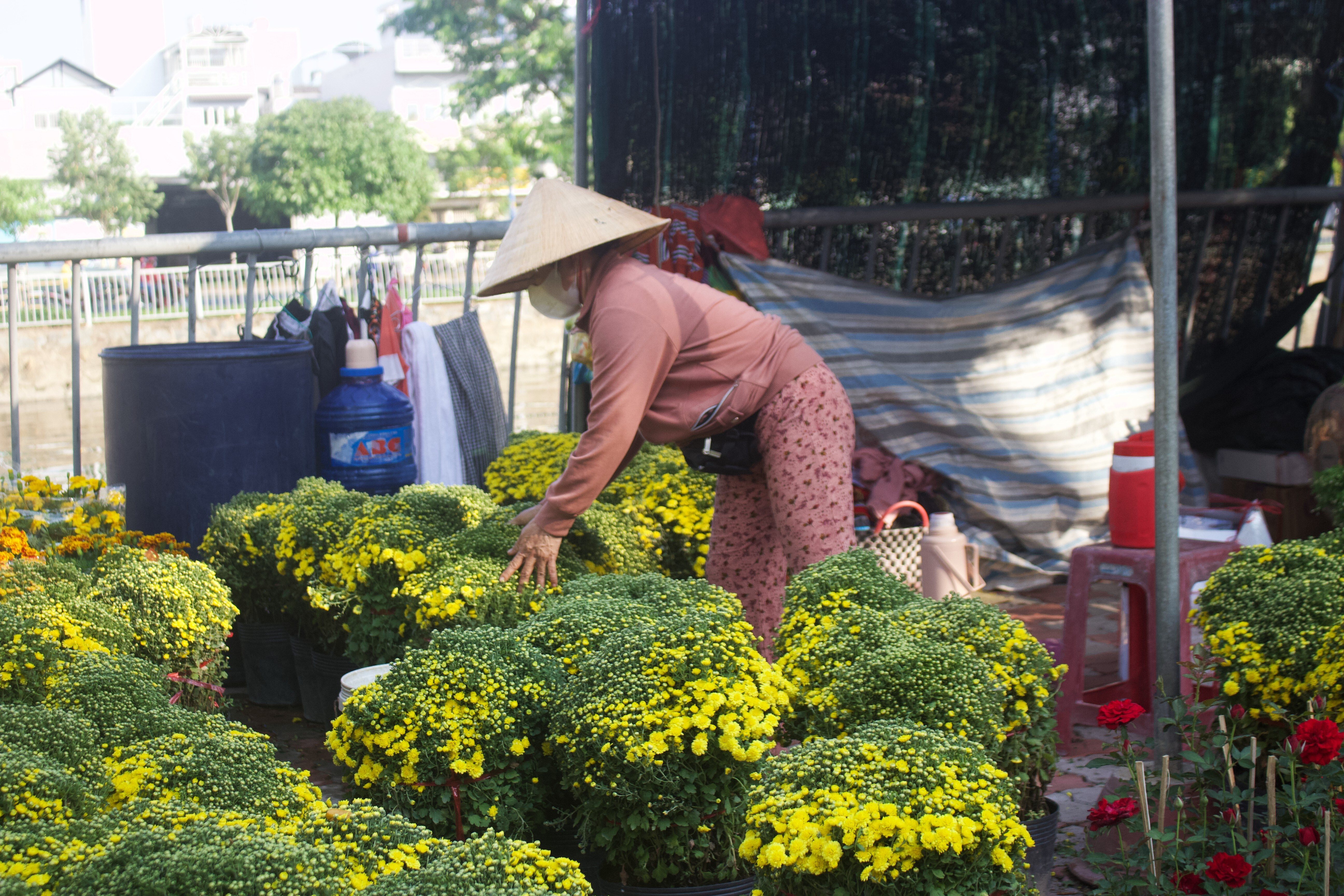 Phiên chợ hoa đặc biệt ngày giáp Tết ở TP.HCM - 5