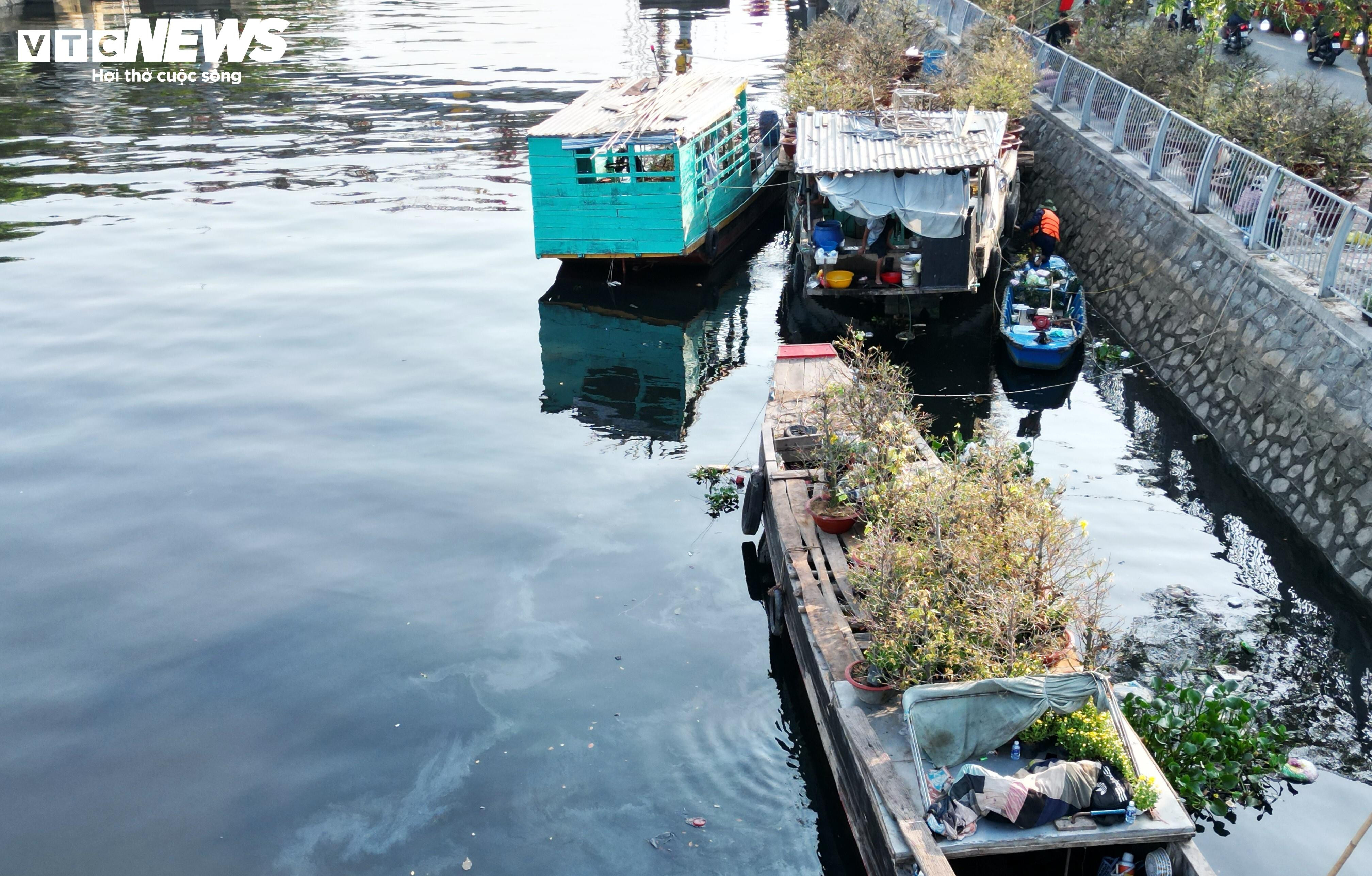 Phiên chợ hoa đặc biệt ngày giáp Tết ở TP.HCM - 3