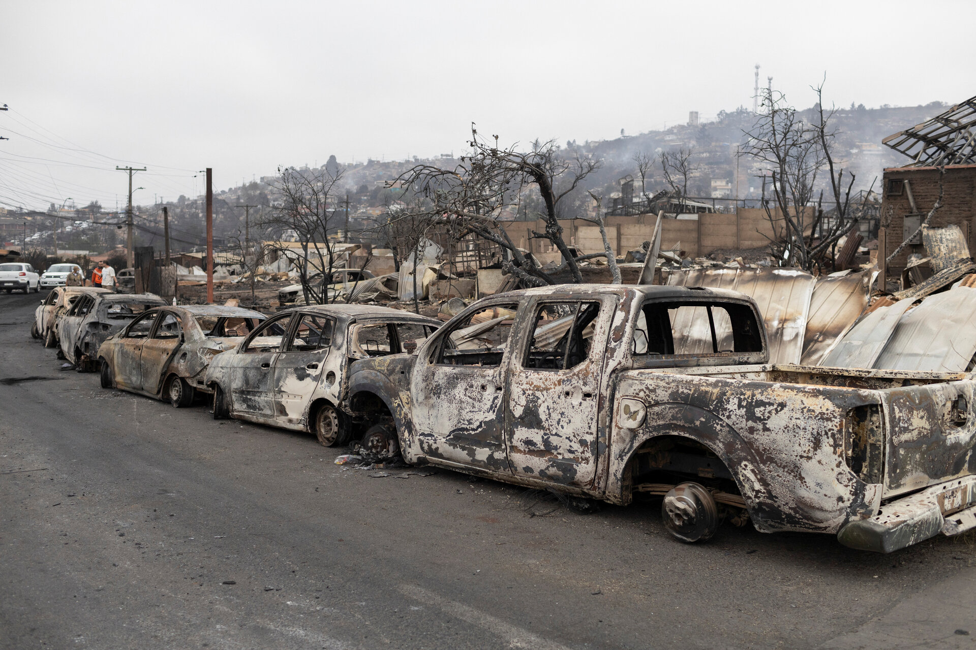 Cháy rừng tàn phá các thành phố Chile, cảnh tượng như đang ở địa ngục - 1