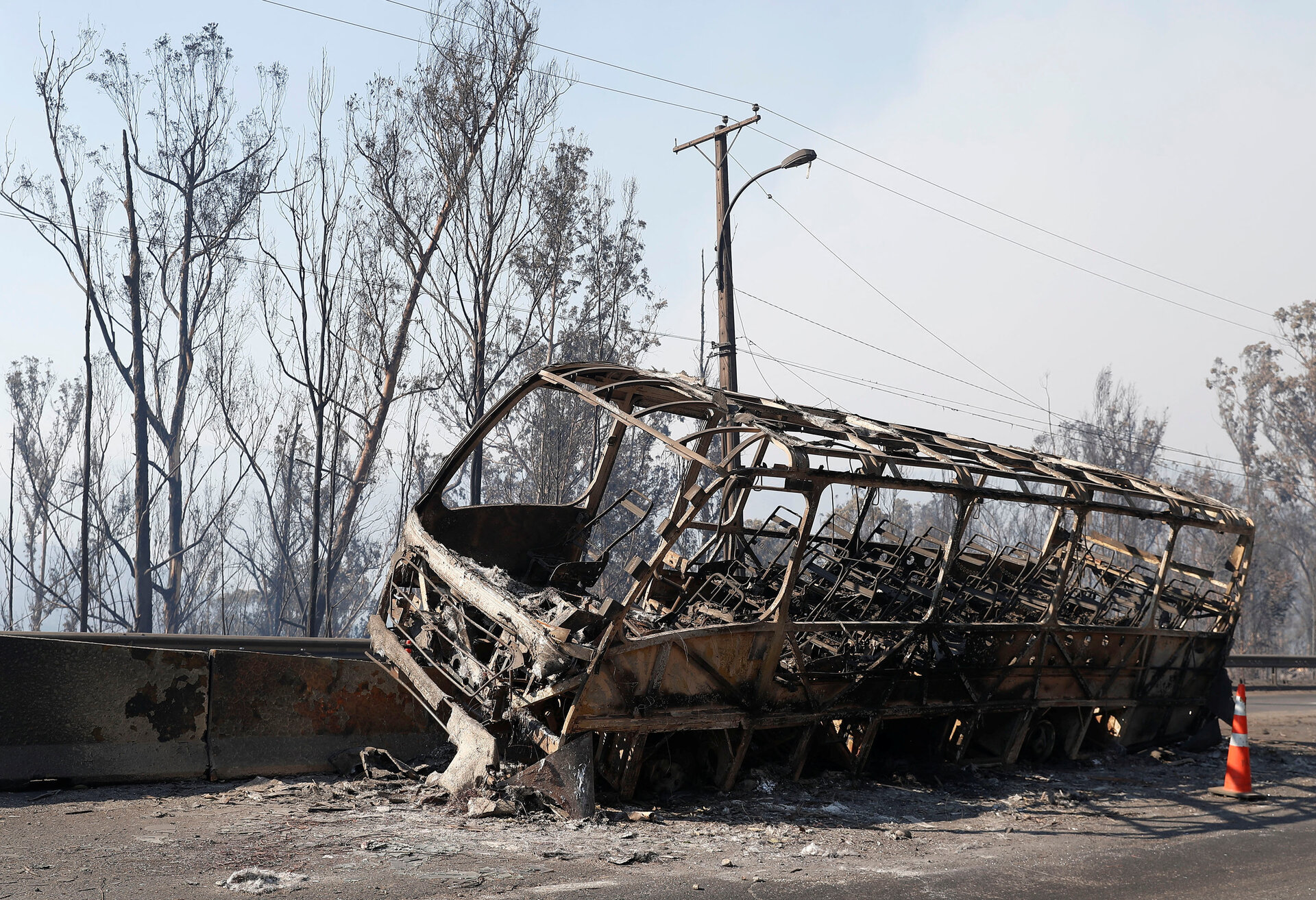 Cháy rừng tàn phá các thành phố Chile, cảnh tượng như đang ở địa ngục - 8