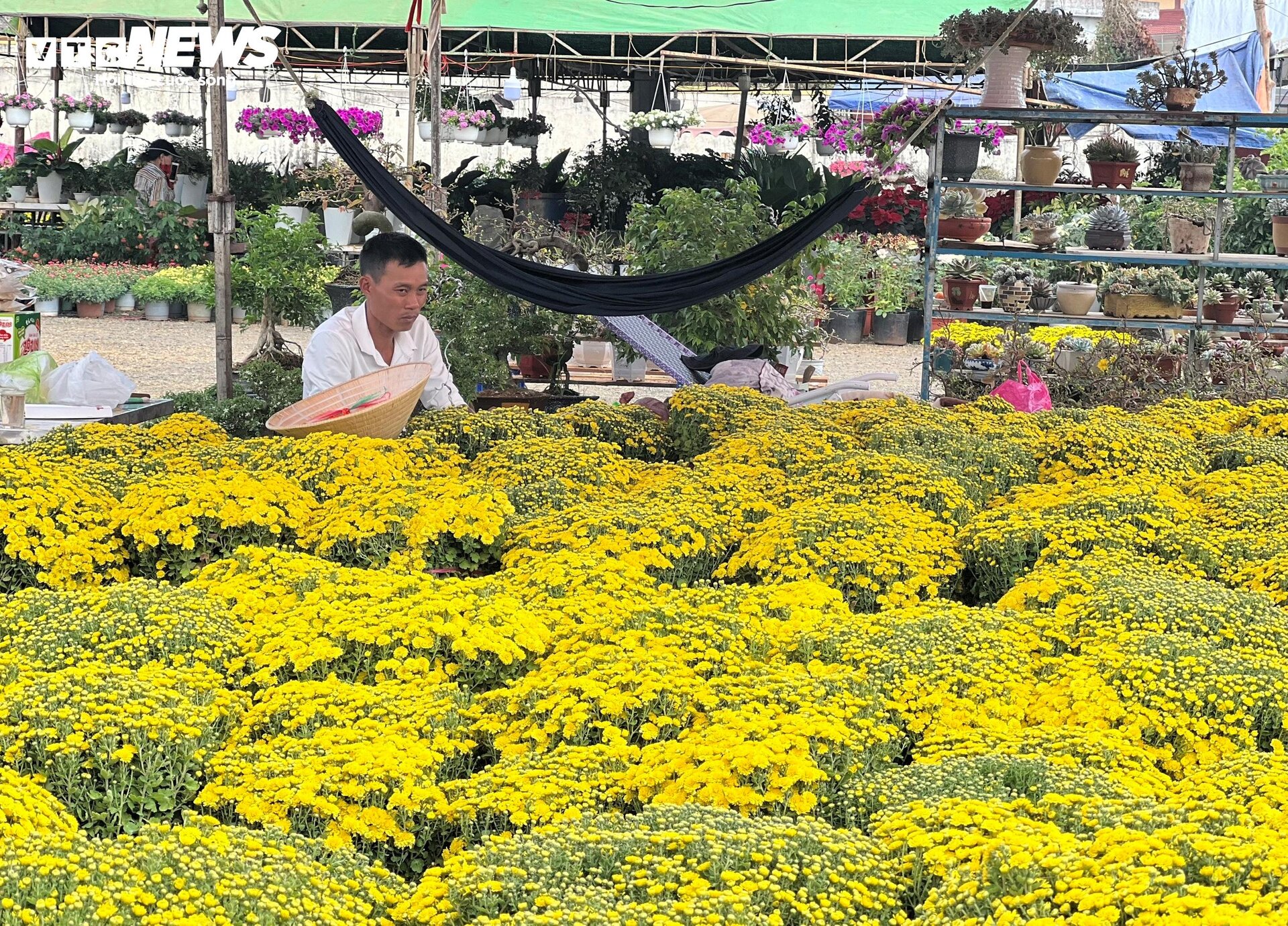 Chợ hoa Tết lớn nhất Gia Lai ảm đạm, tiểu thương 'mỏi mắt' ngóng khách - 7