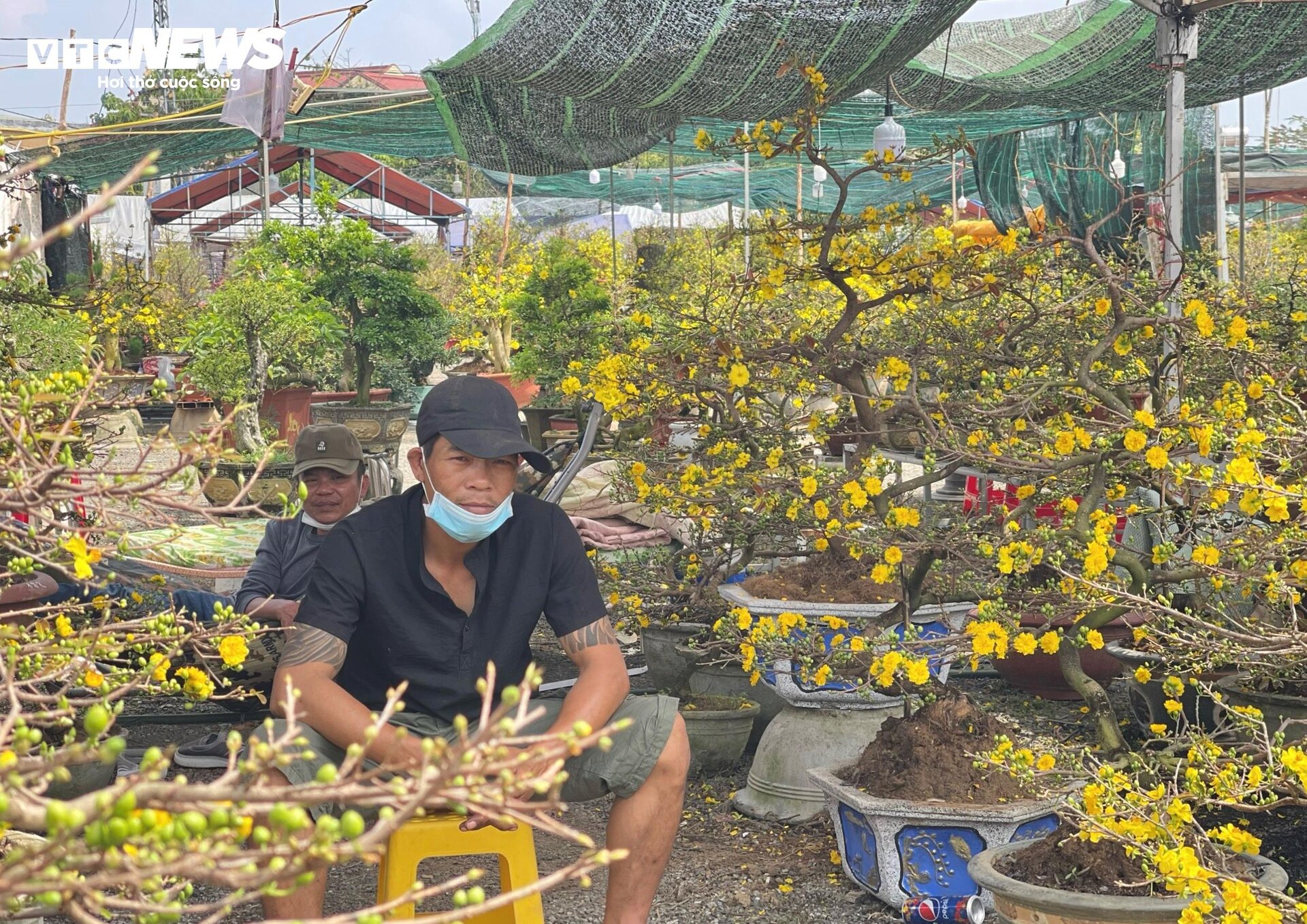 Chợ hoa Tết lớn nhất Gia Lai ảm đạm, tiểu thương 'mỏi mắt' ngóng khách - 9